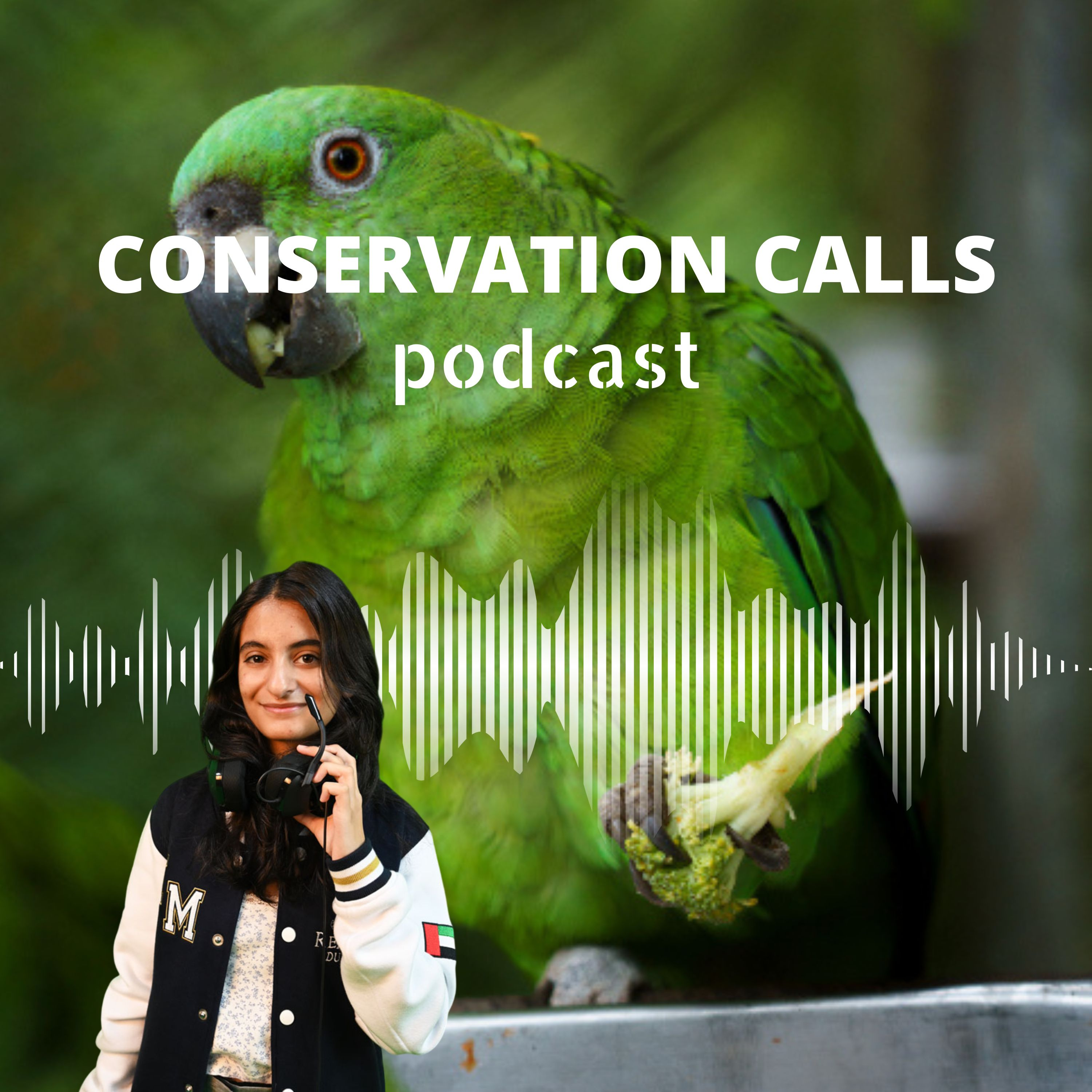 Toucan tales of parrots and partnerships