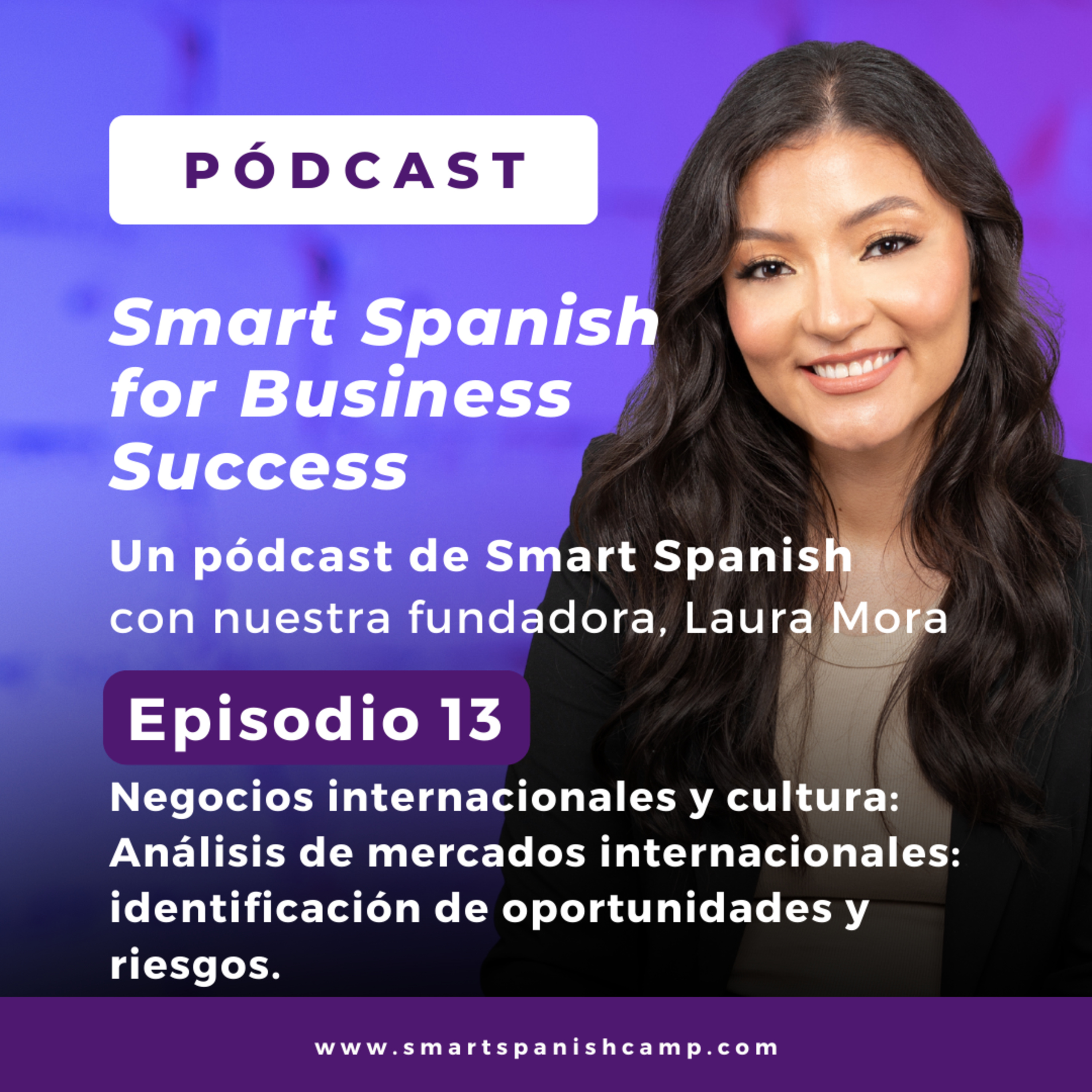 13. Negocios internacionales y cultura: Análisis de mercados internacionales: identificación de oportunidades y riesgos.