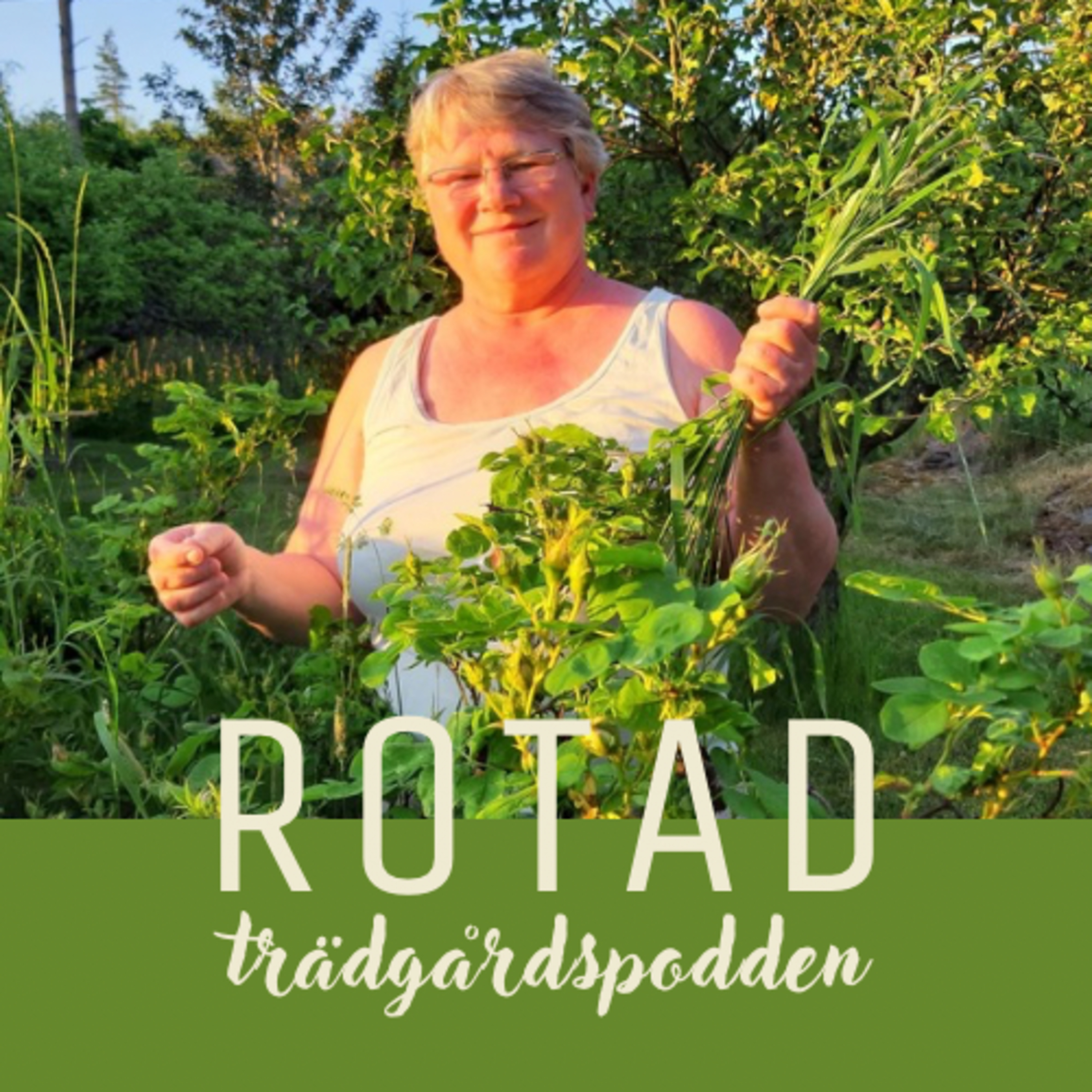 ROTAD - trädgårdspodden
