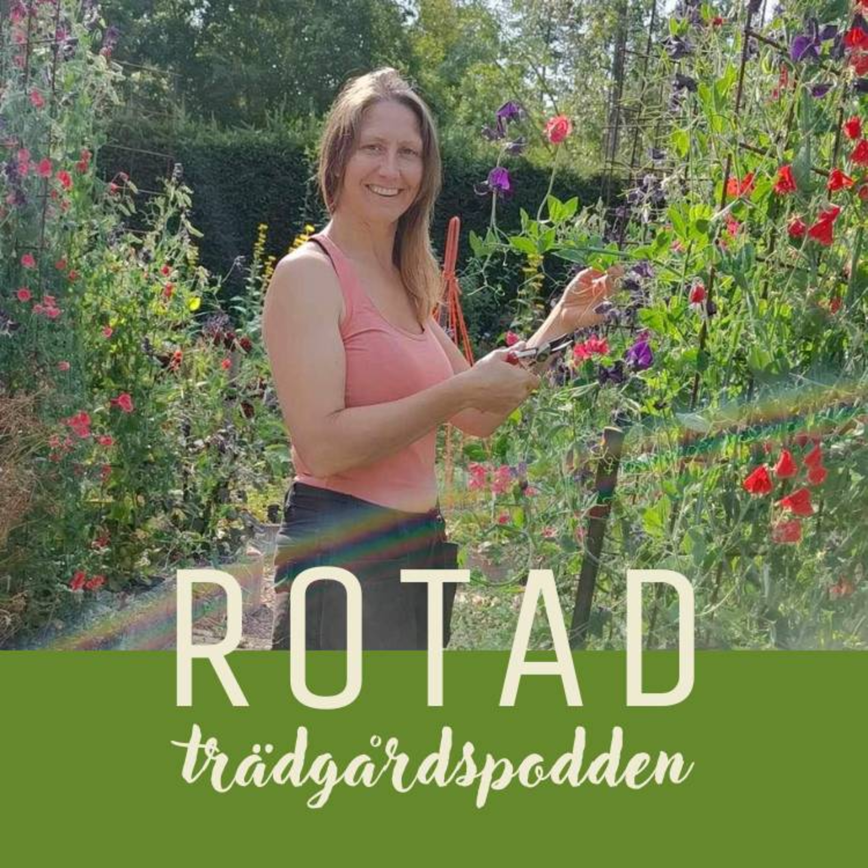 ROTAD - trädgårdspodden