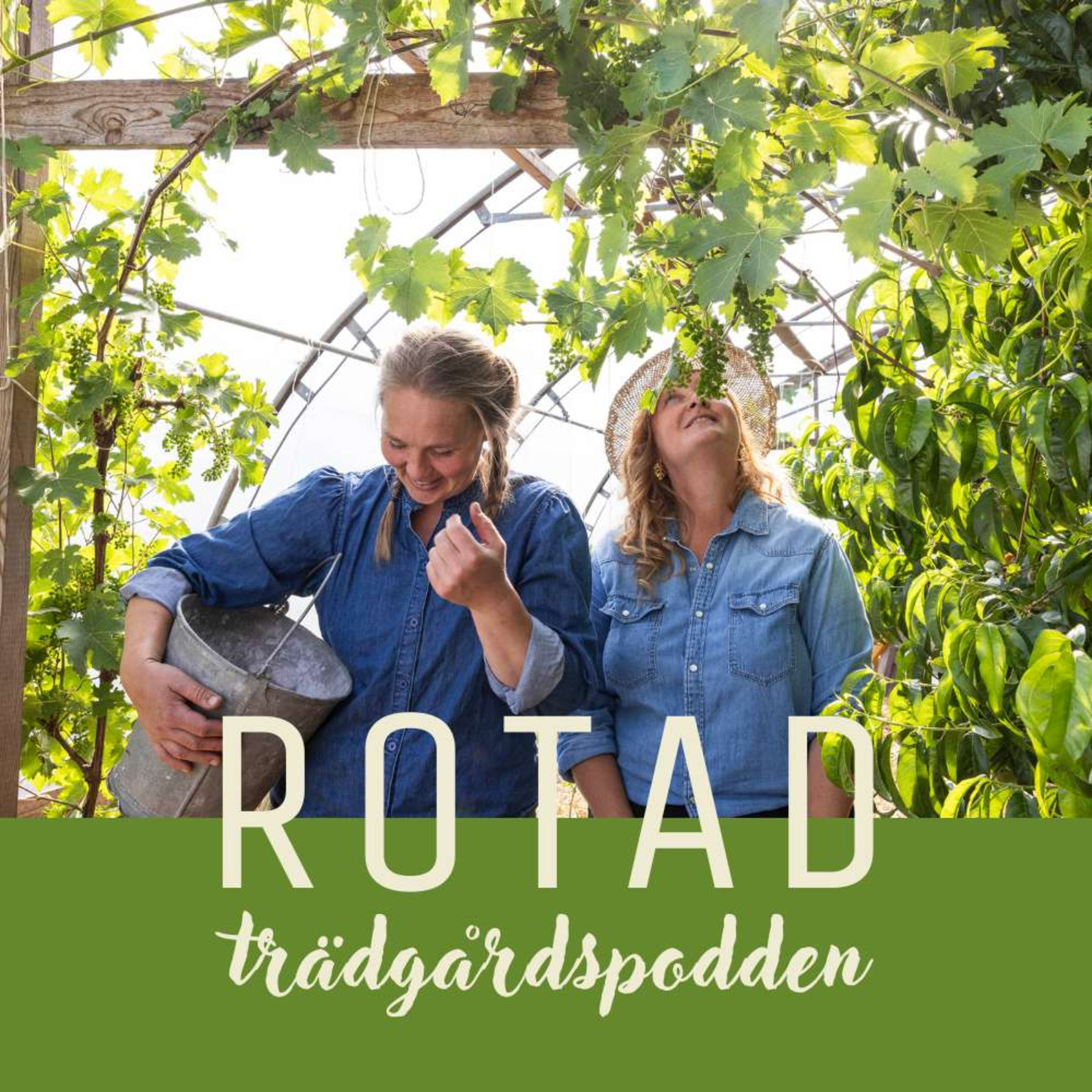 ROTAD - trädgårdspodden