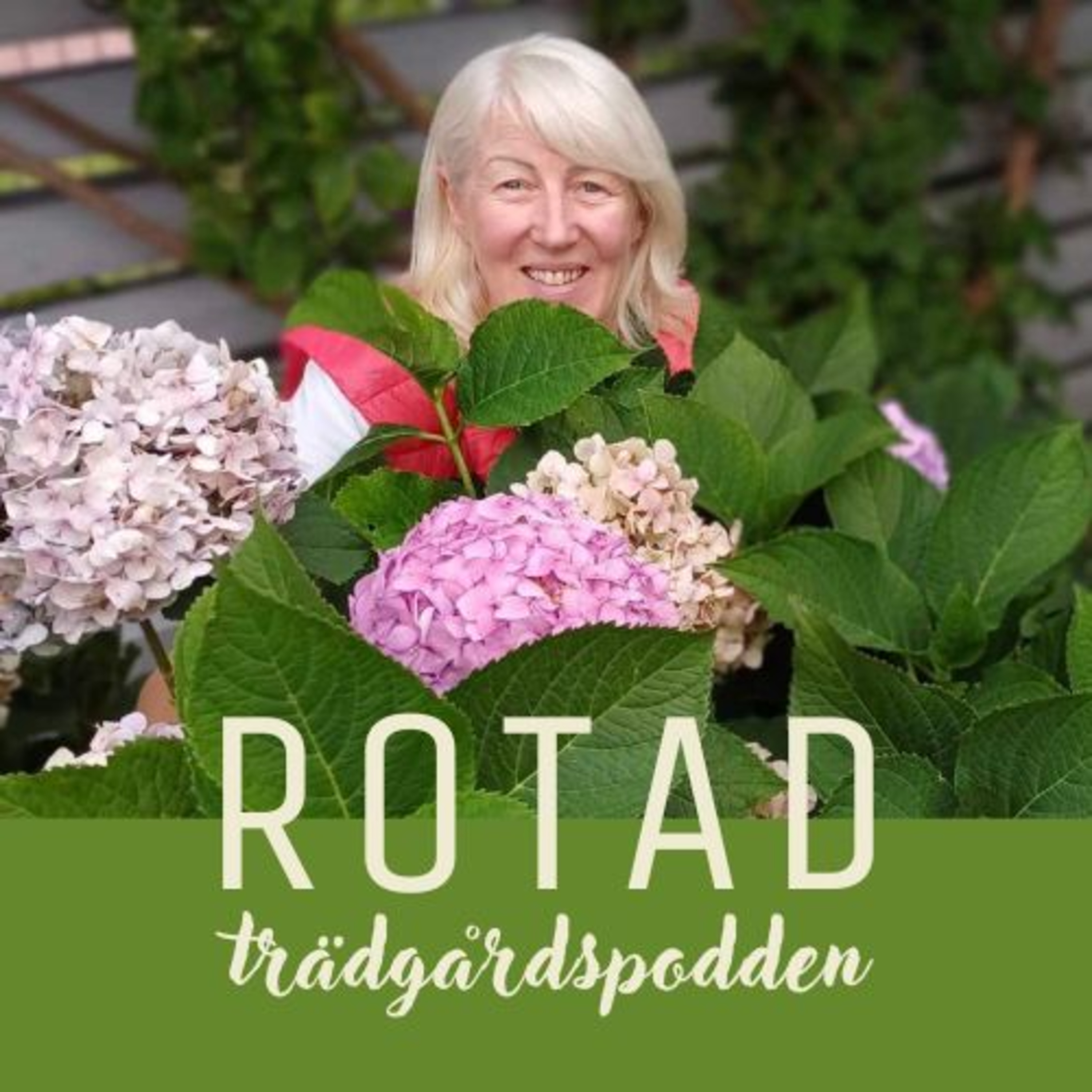 ROTAD - trädgårdspodden