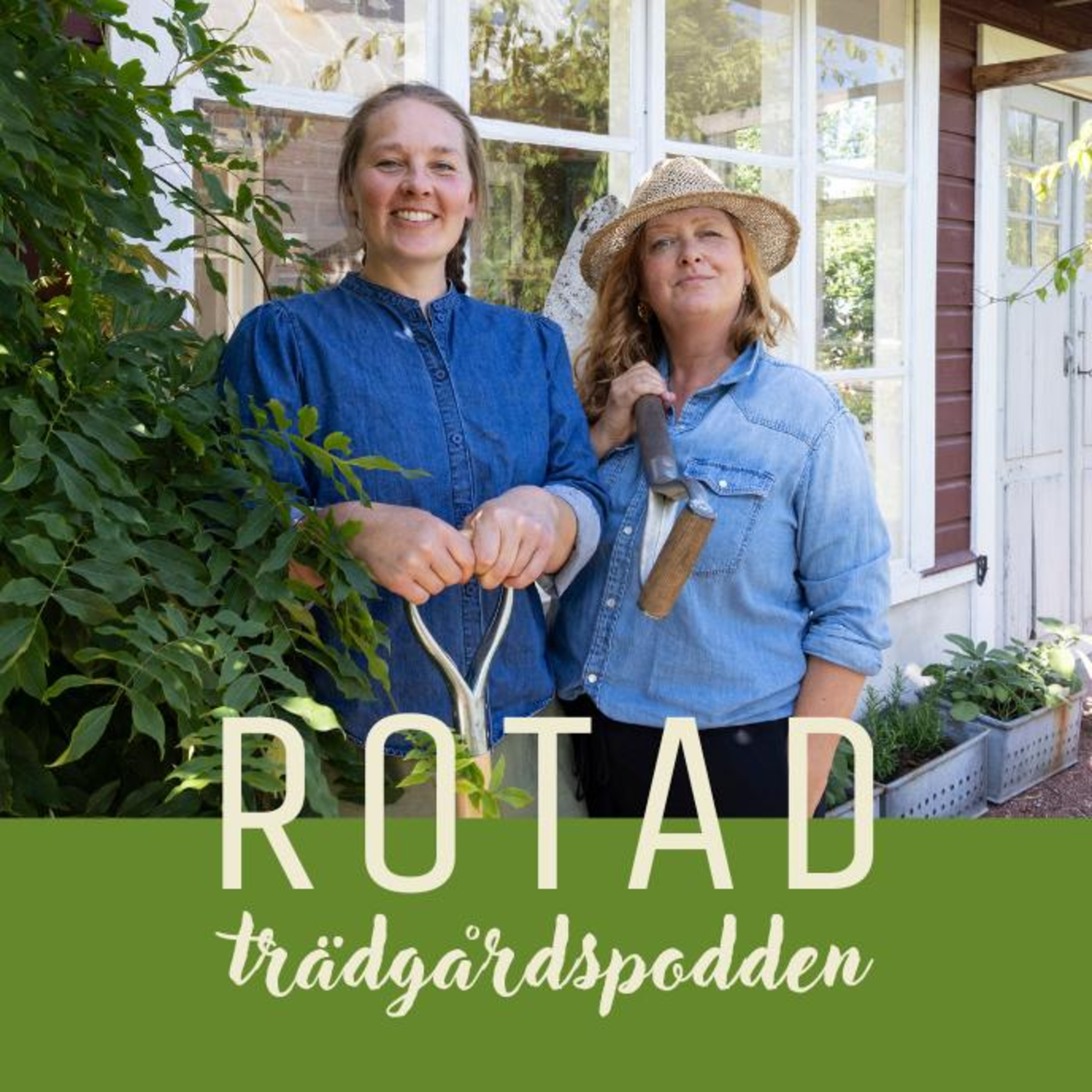 ROTAD - trädgårdspodden
