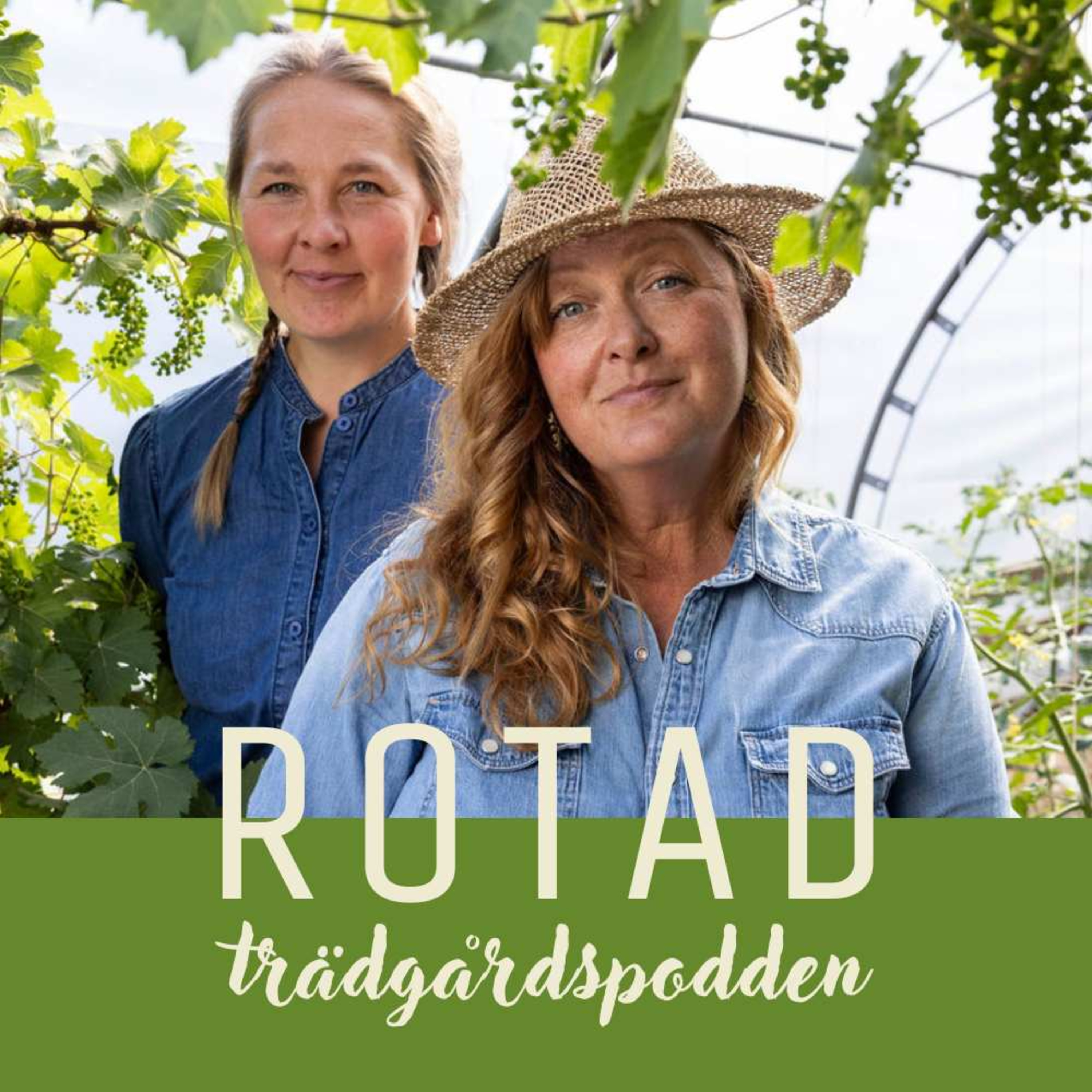 ROTAD - trädgårdspodden