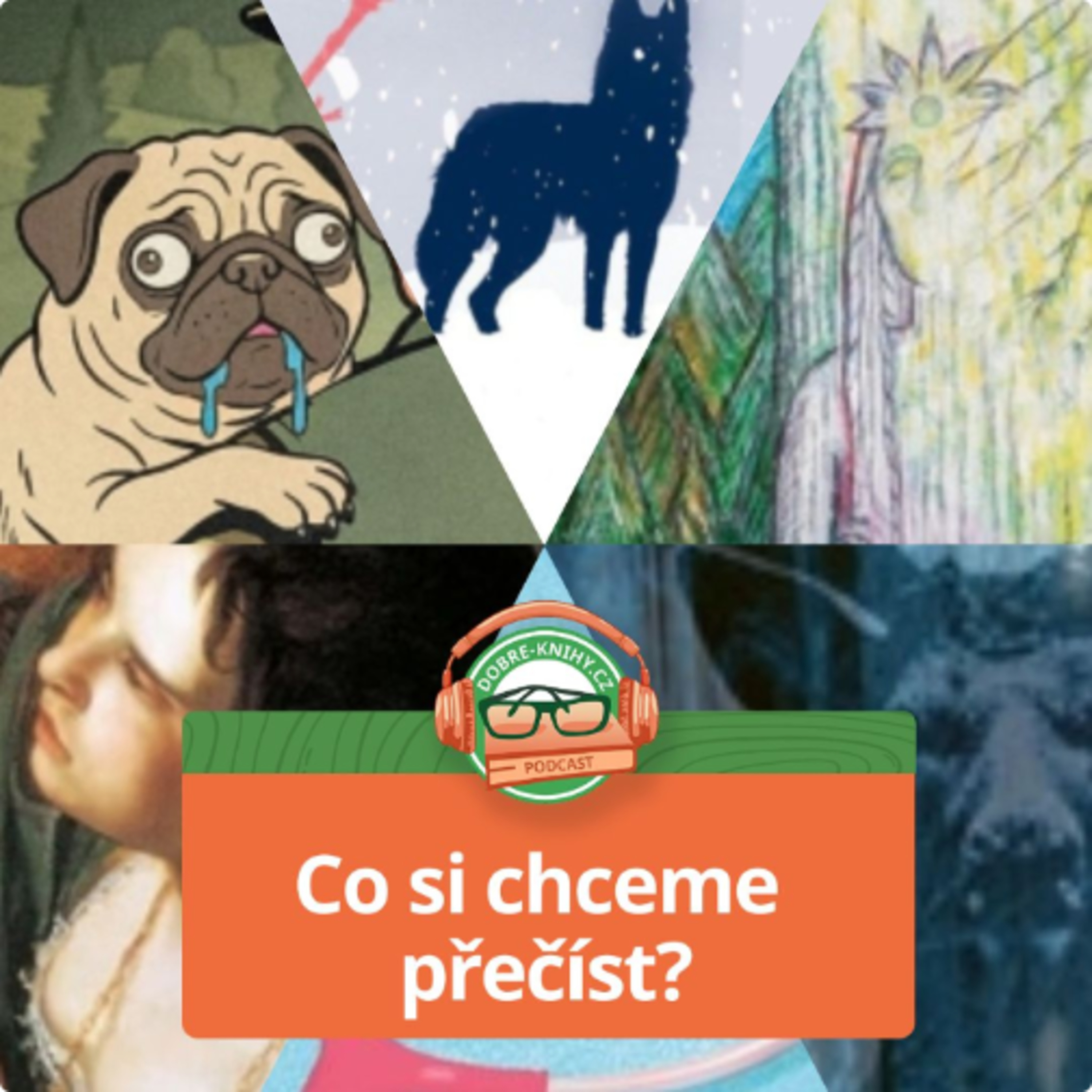 Co si chceme přečíst? episode artwork