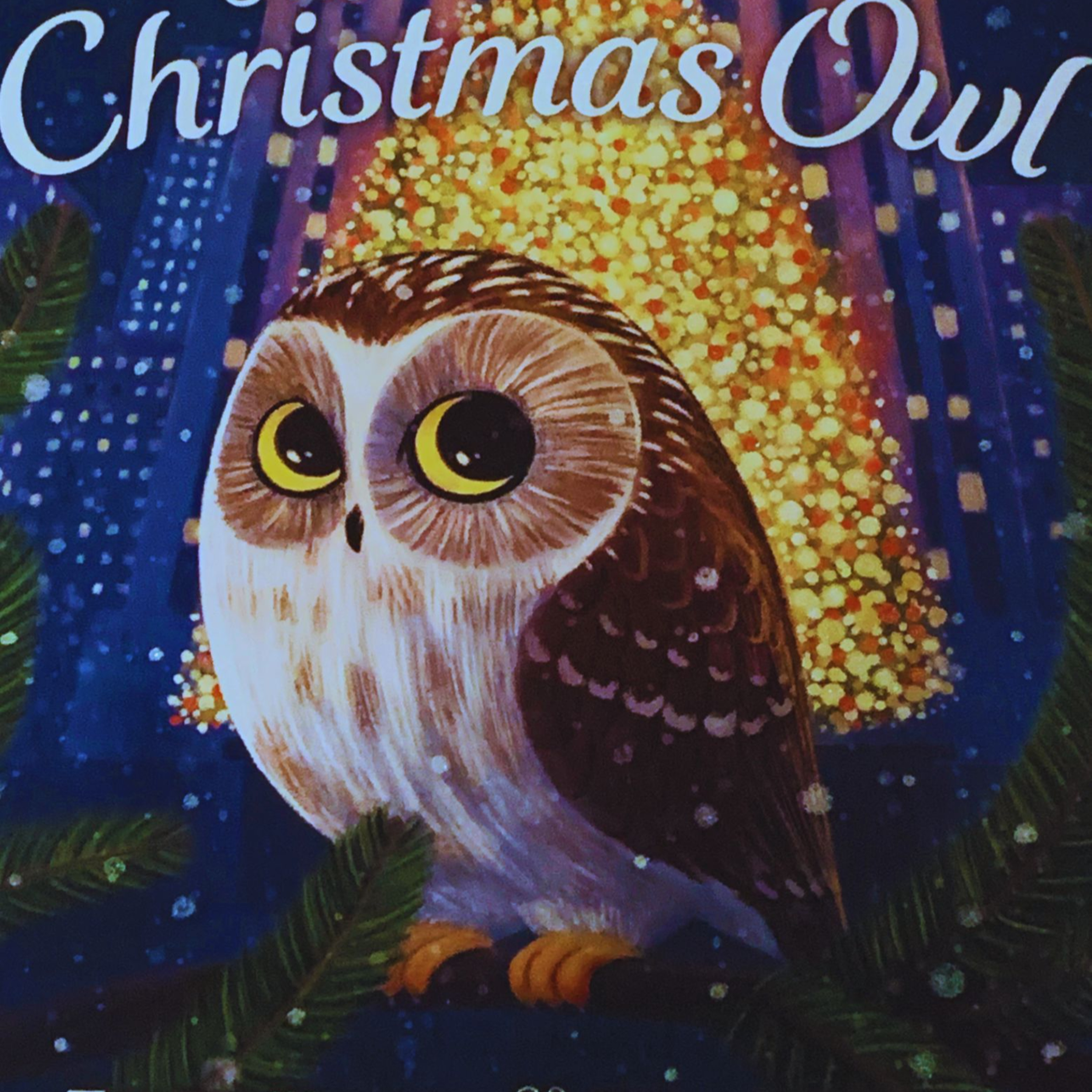 The Christmas Owl Christmas Story & Fireplace for Sleep❄🦉 episode artwork