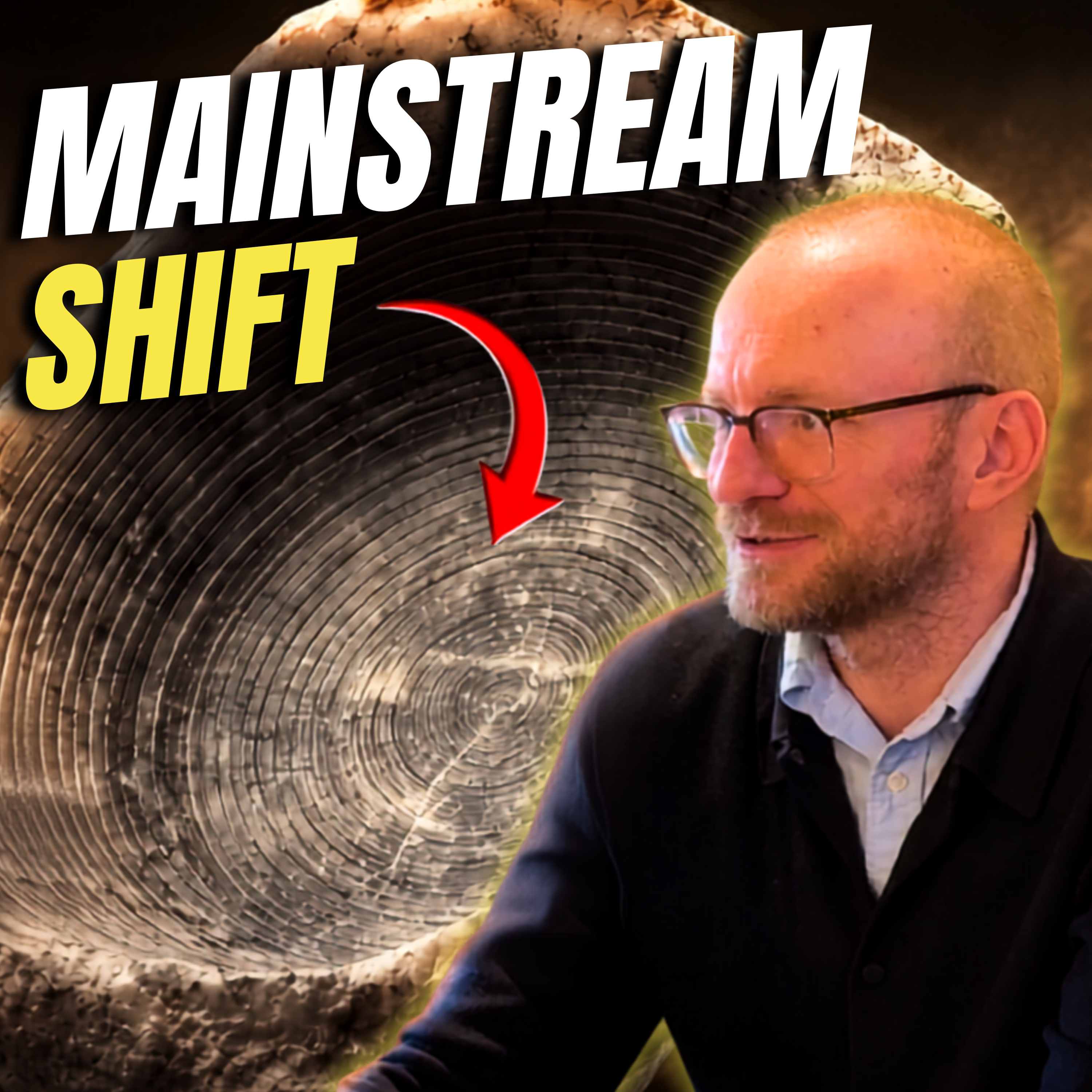 #23 - Egyptology Is Changing Its Mind About Ancient Lathes | Dr. Martin Odler episode artwork