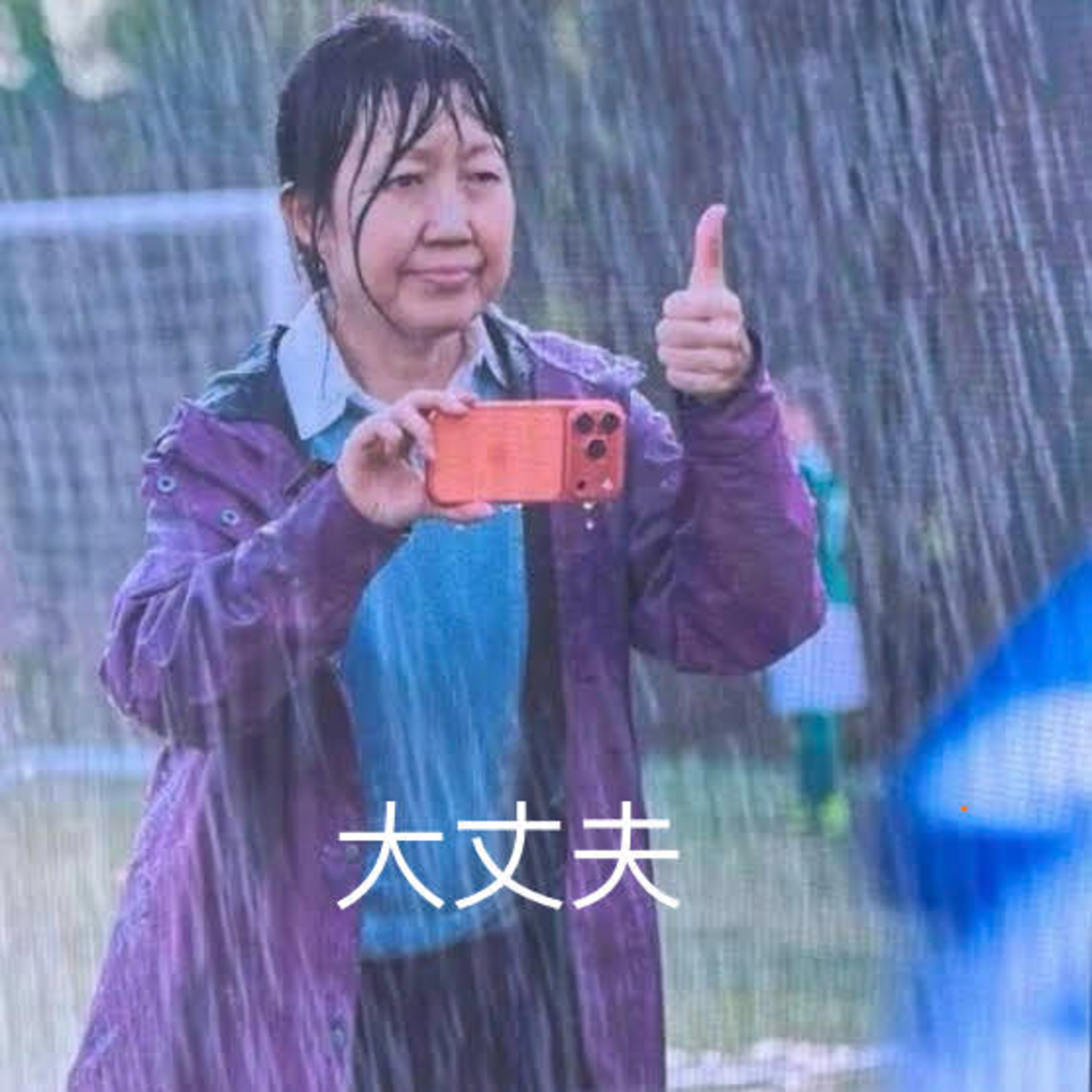 给我整的很迷茫