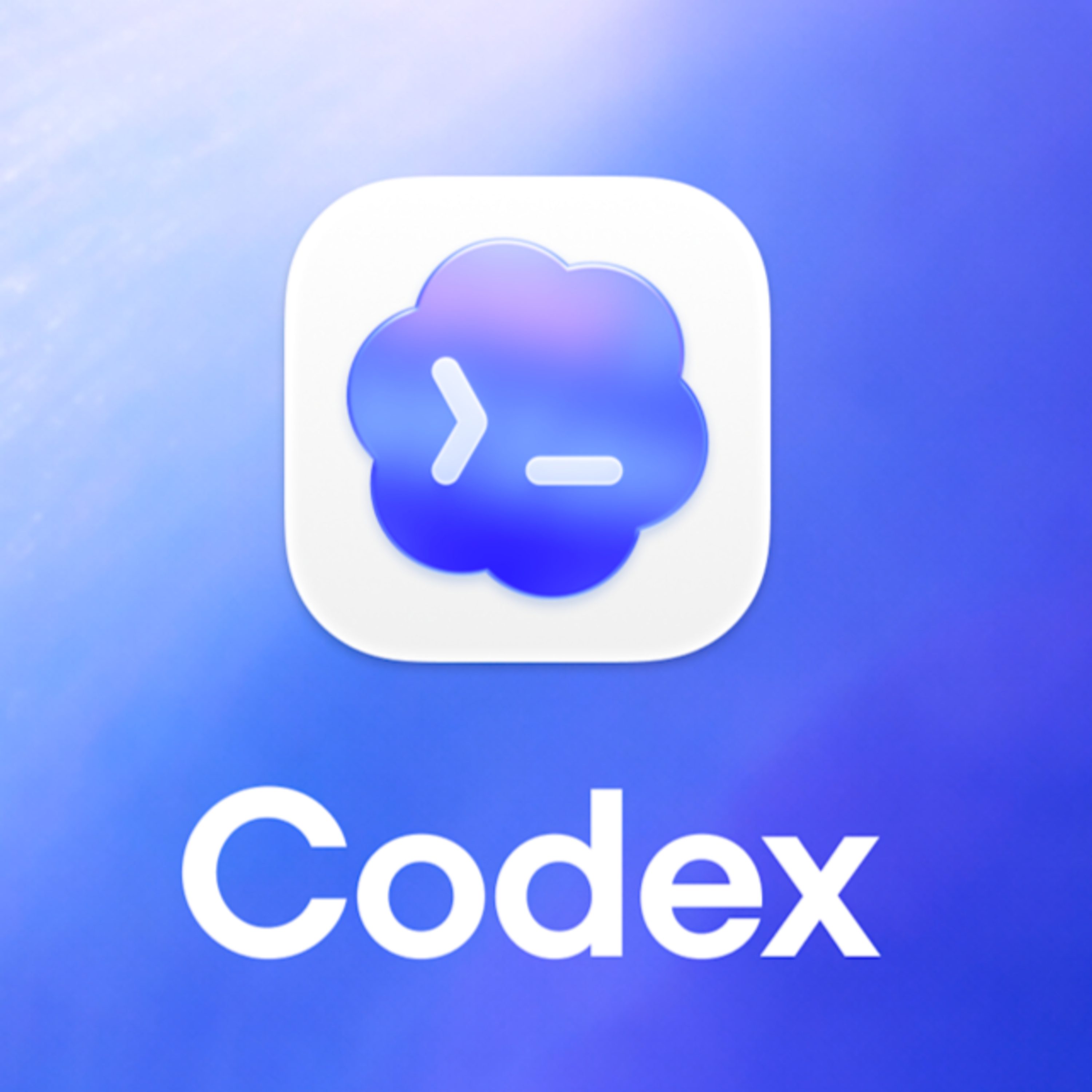 给我整一下Codex