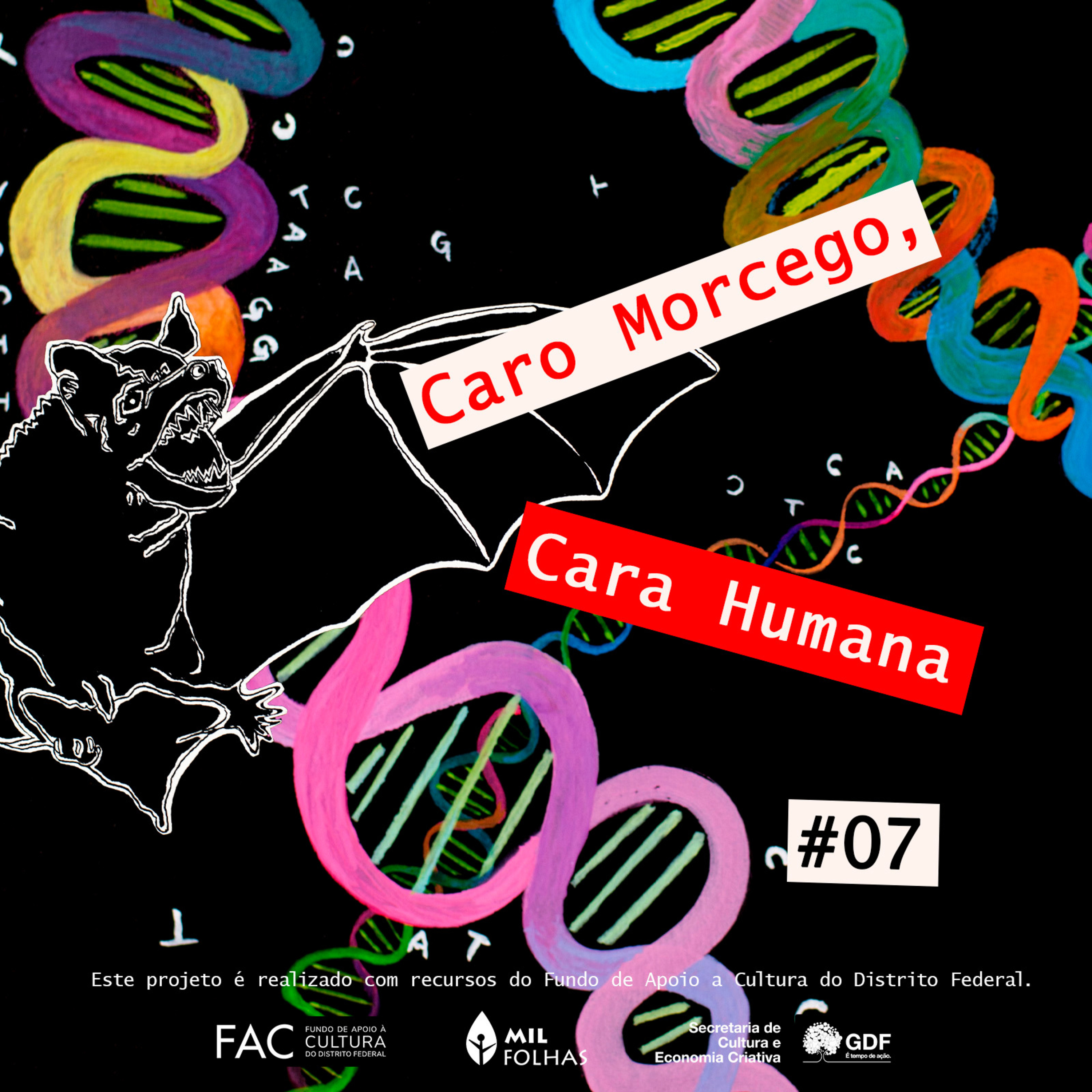 Caro Morcego, Cara Humana