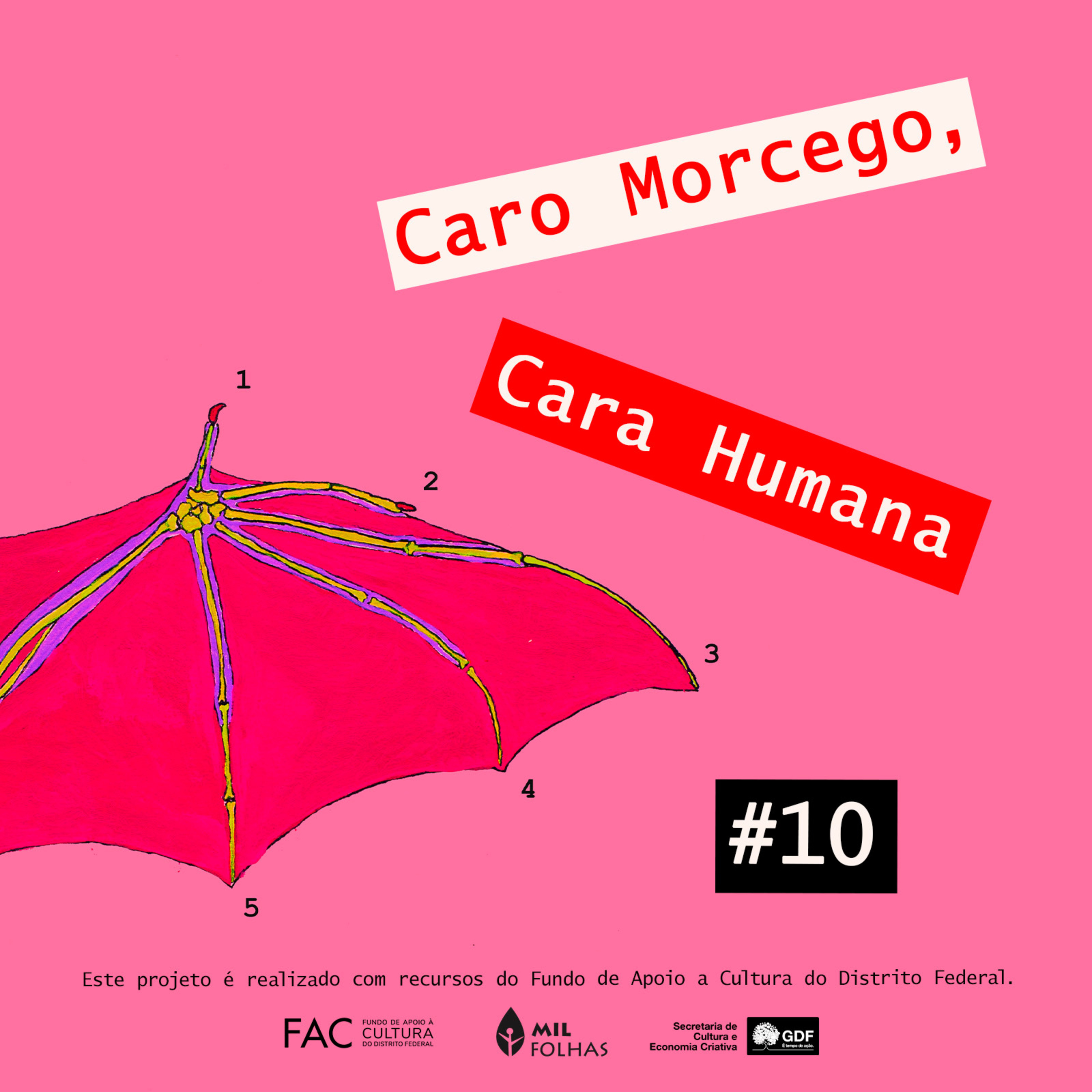 Caro Morcego, Cara Humana