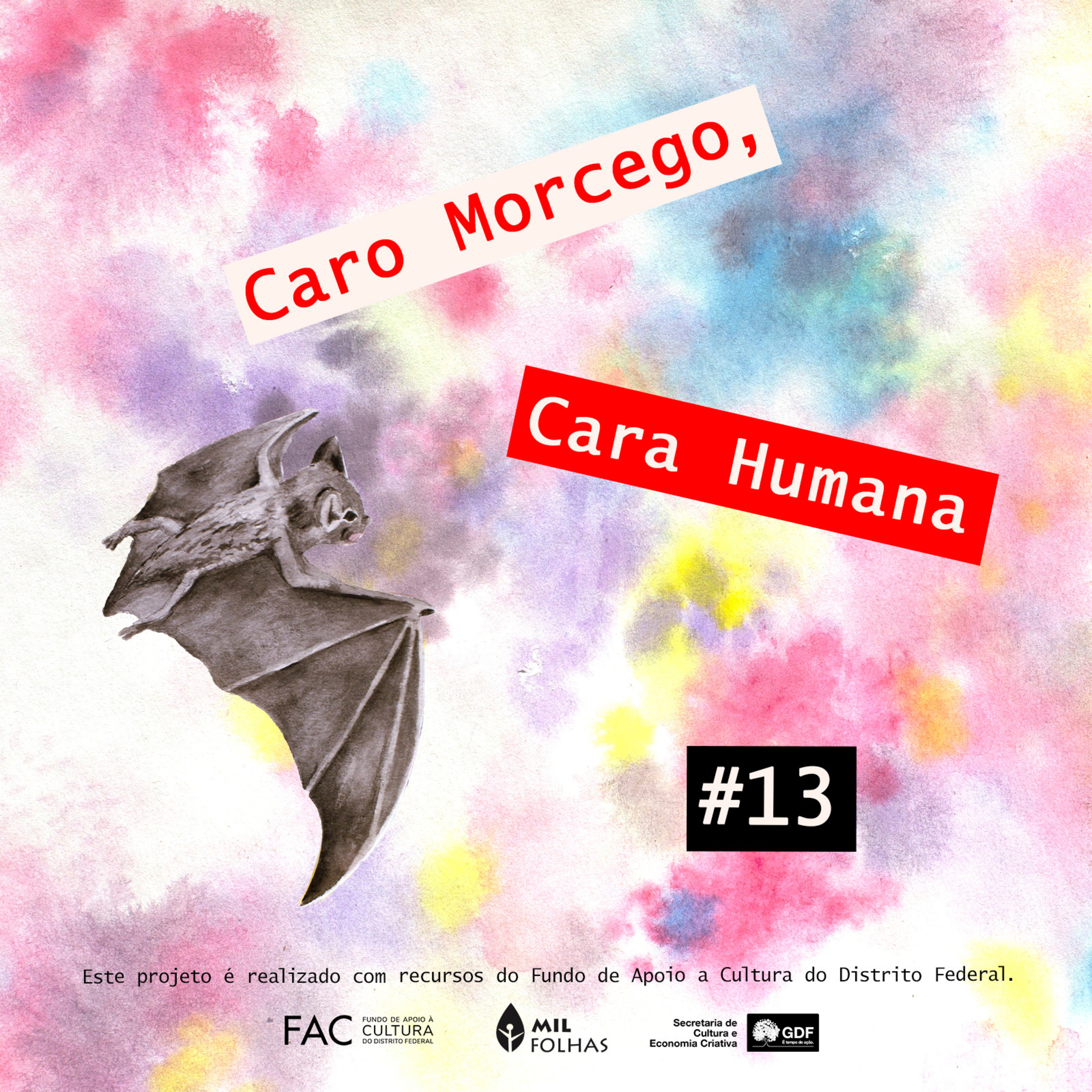 Caro Morcego, Cara Humana