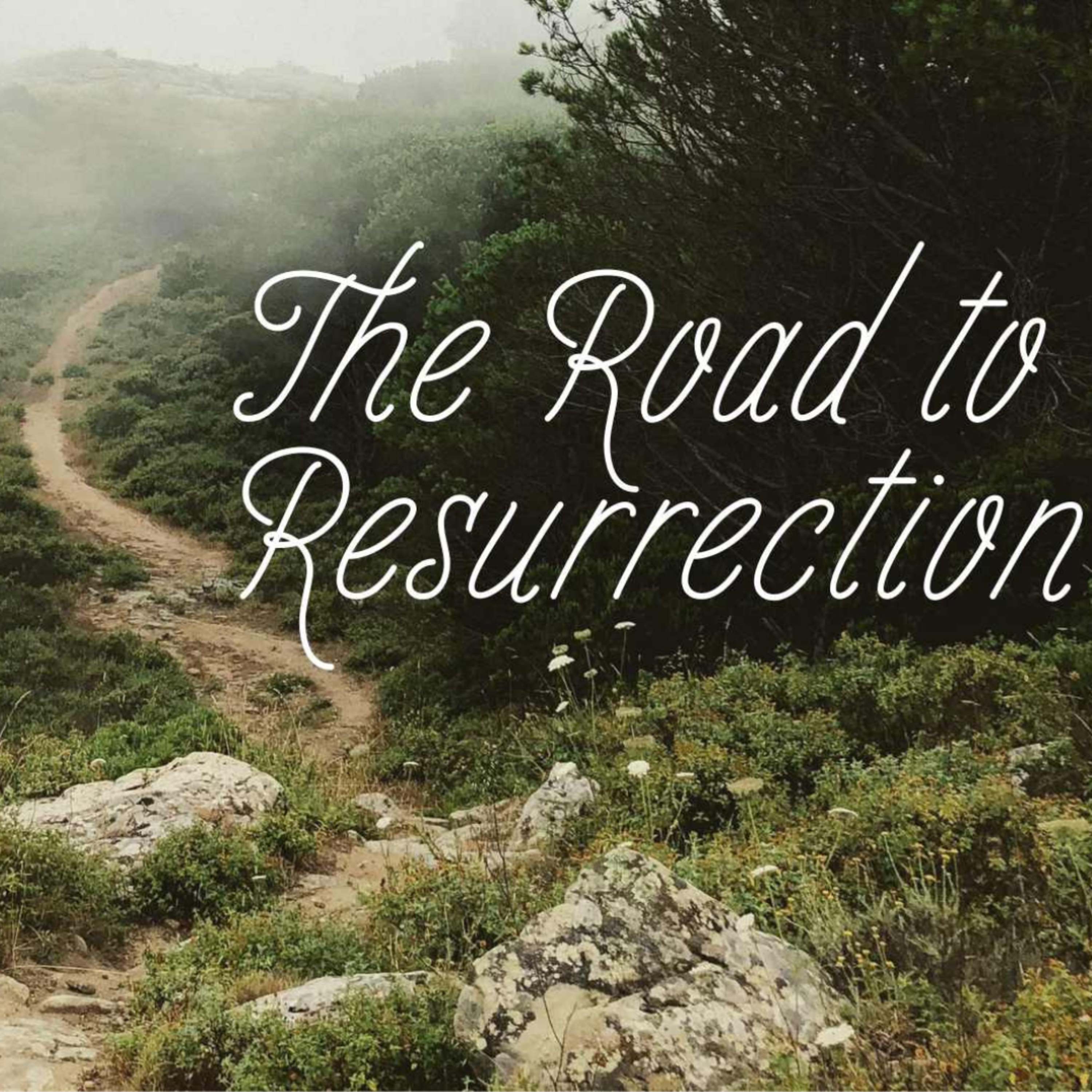 Turning Point / The Road to Resurrection episode artwork