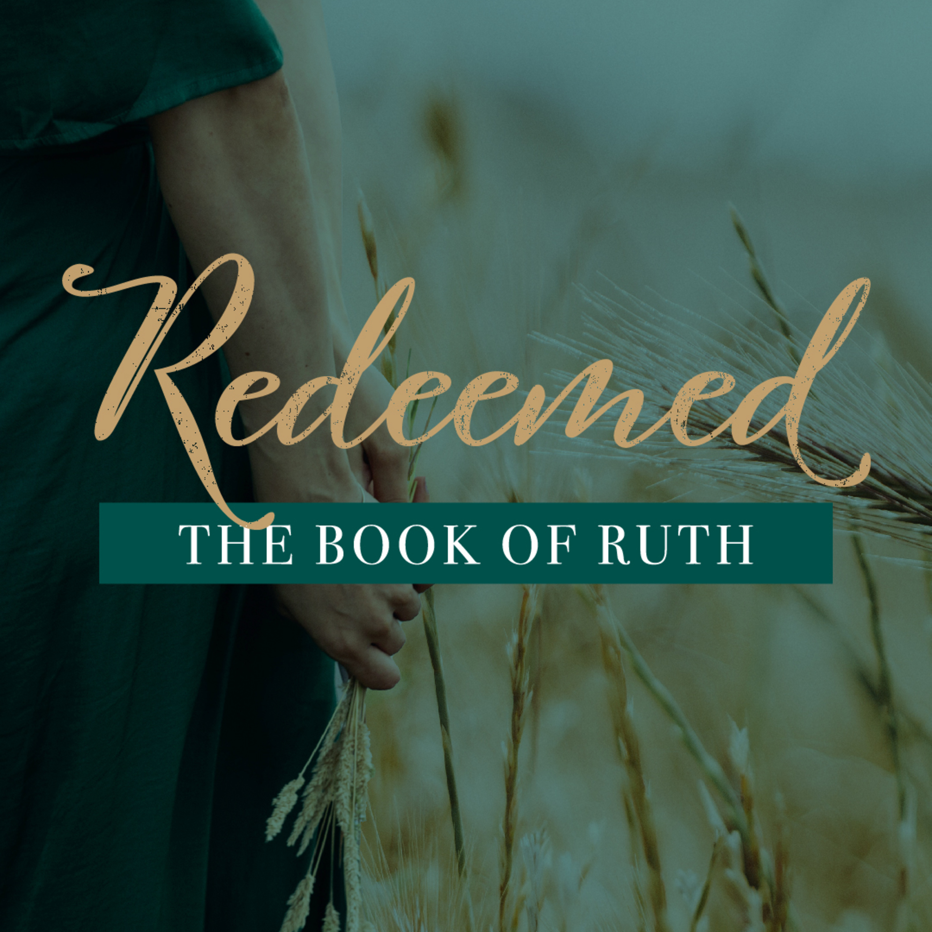 Redeemed: The Book of Ruth Part 6 episode artwork