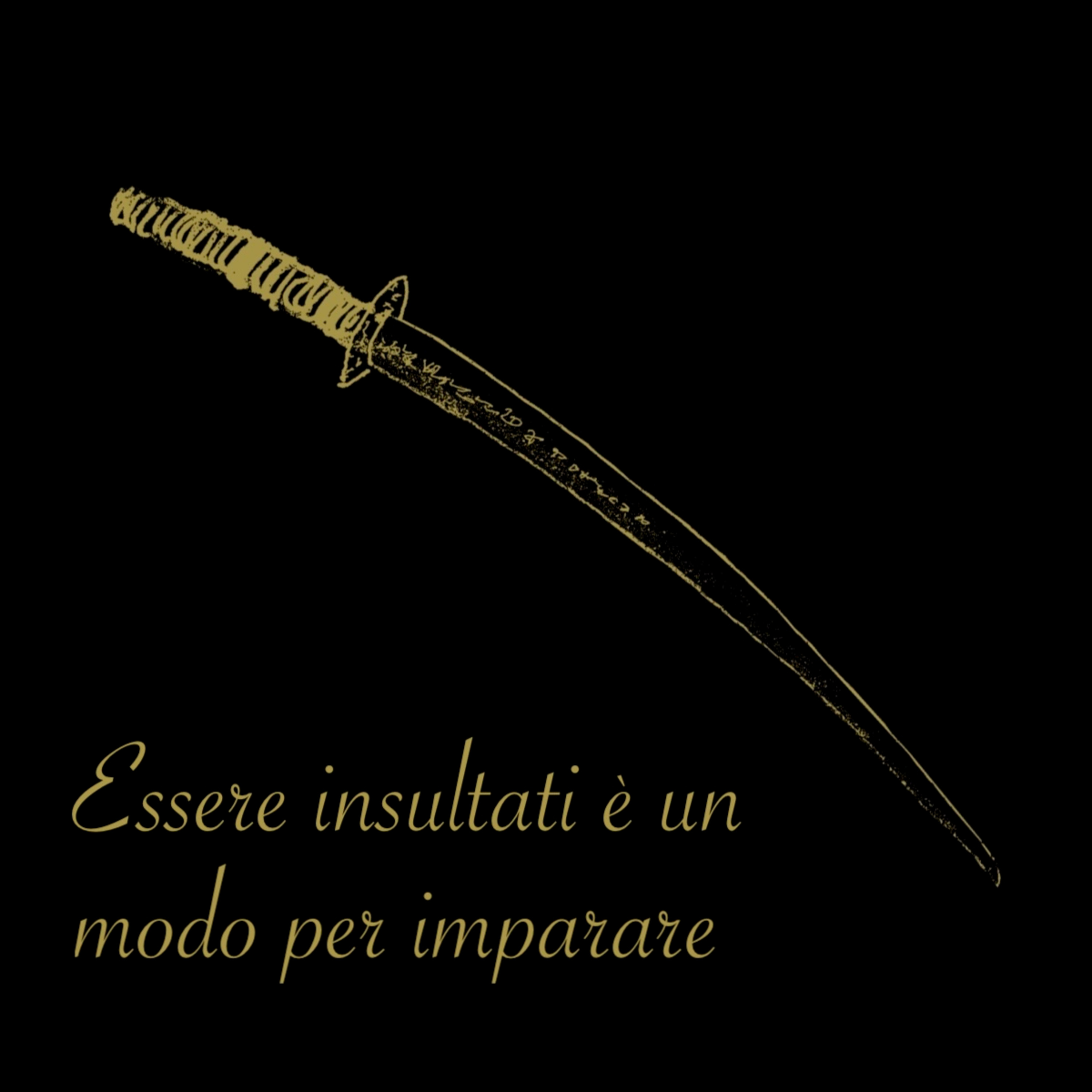 Essere insultati è un modo per imparare episode artwork