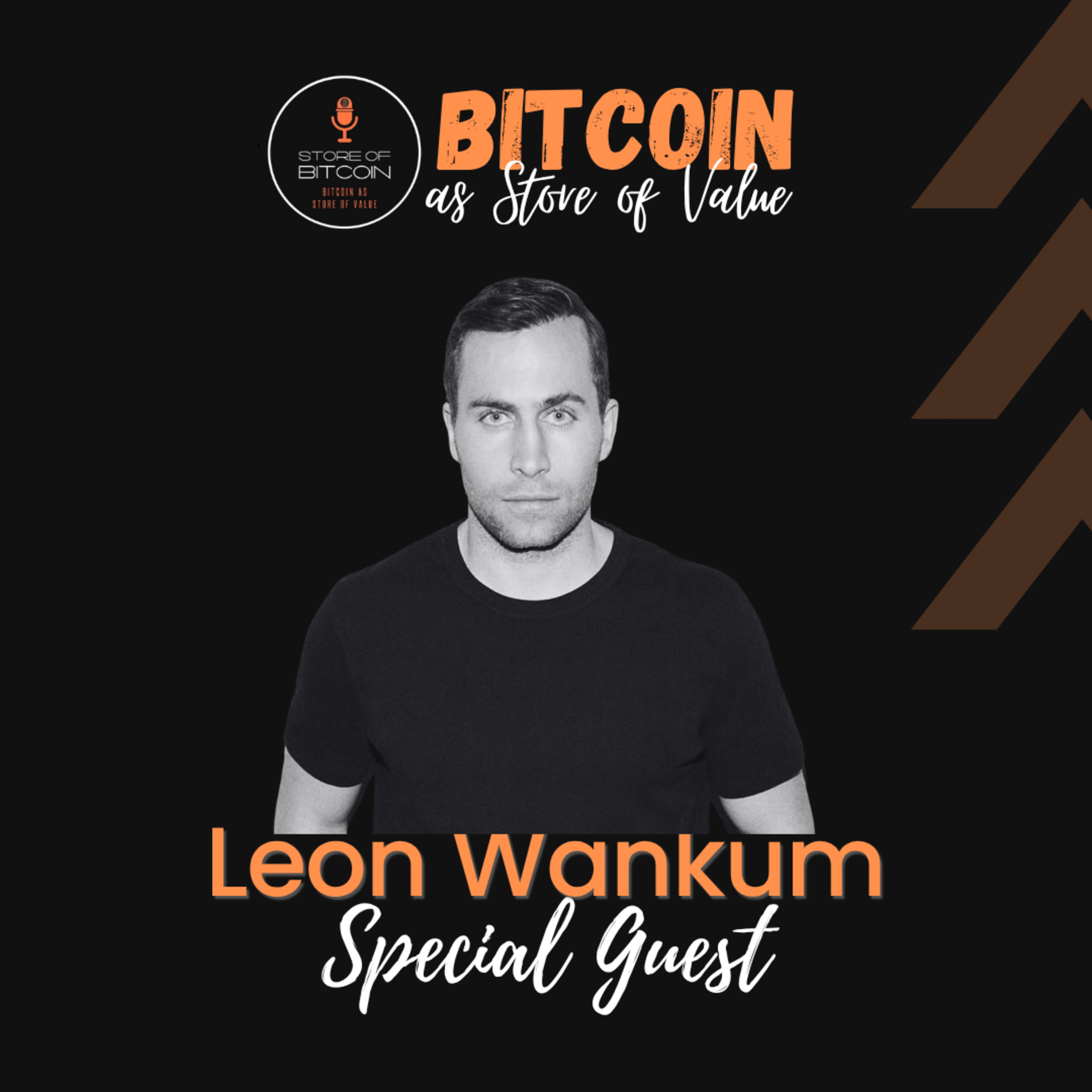 Store of Bitcoin - Bitcoin as Store of Value