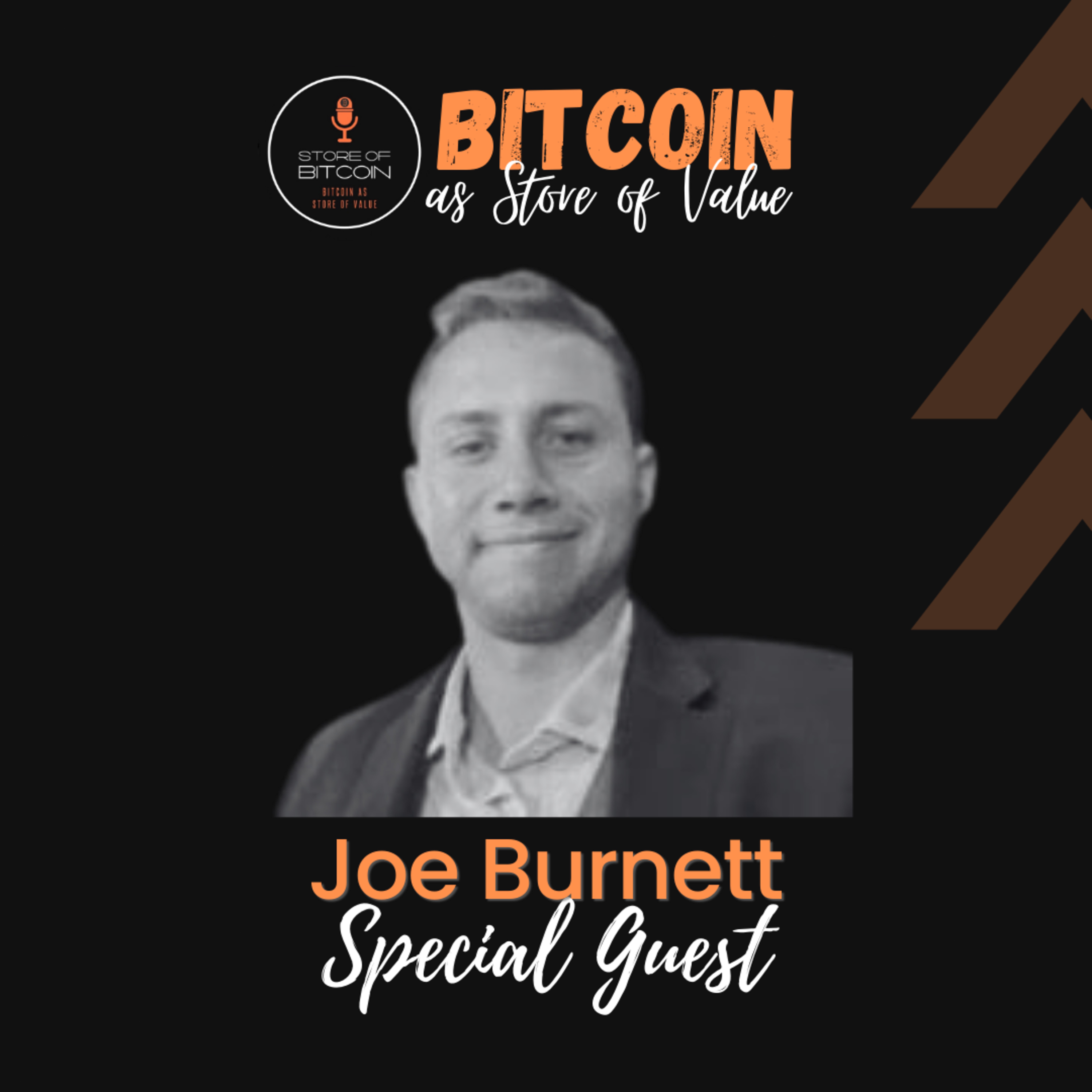 Store of Bitcoin - Bitcoin as Store of Value