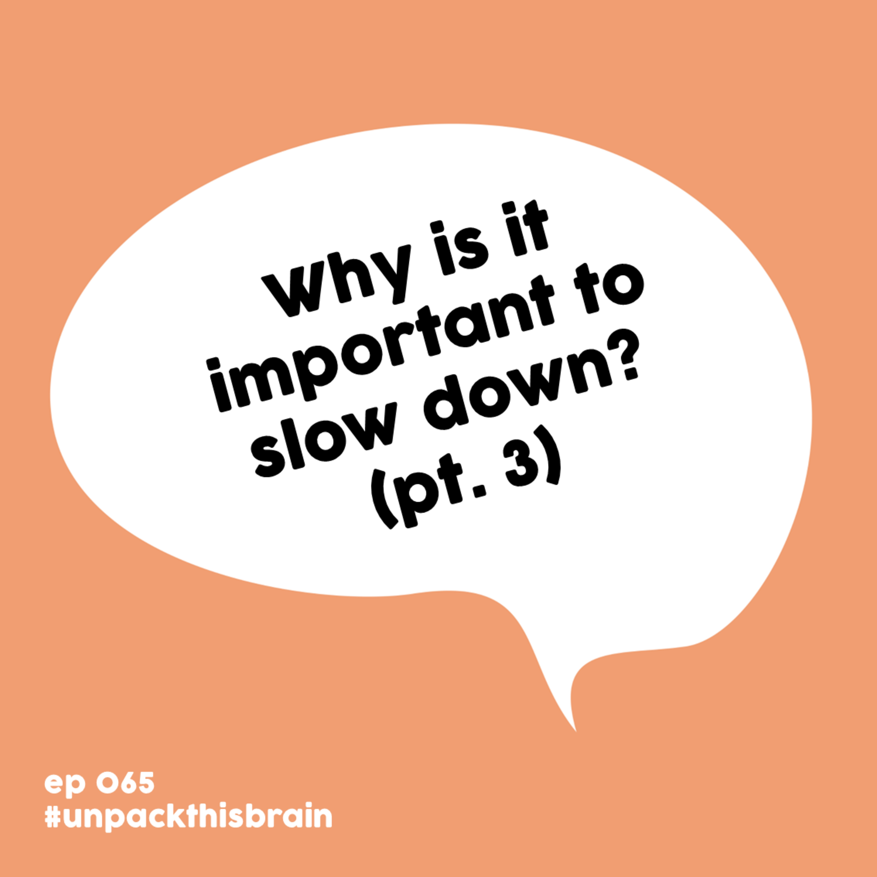 Why is it important to slow down? (Season 6 premiere pt. 3) | Ep. 65 episode artwork
