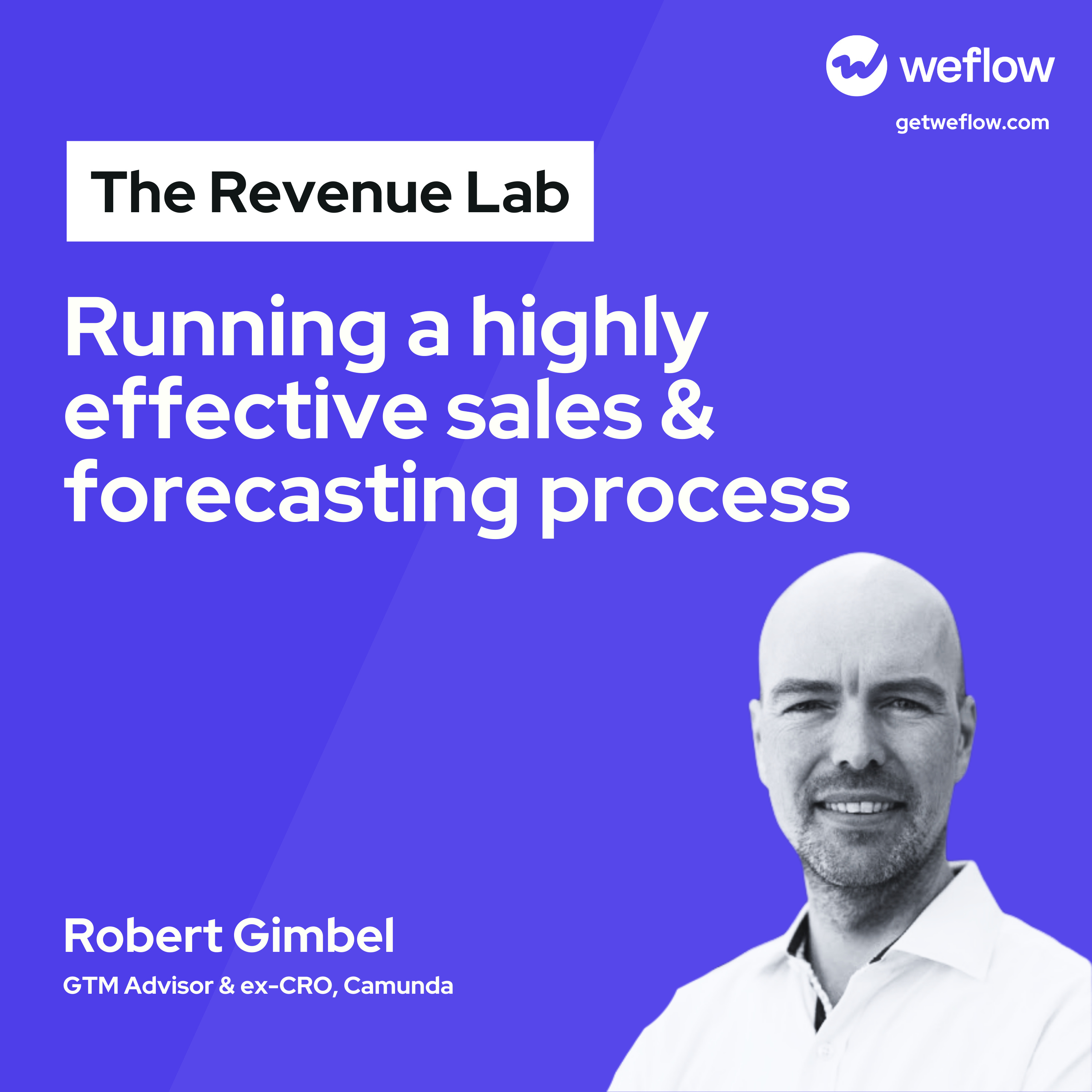 The Revenue Lab