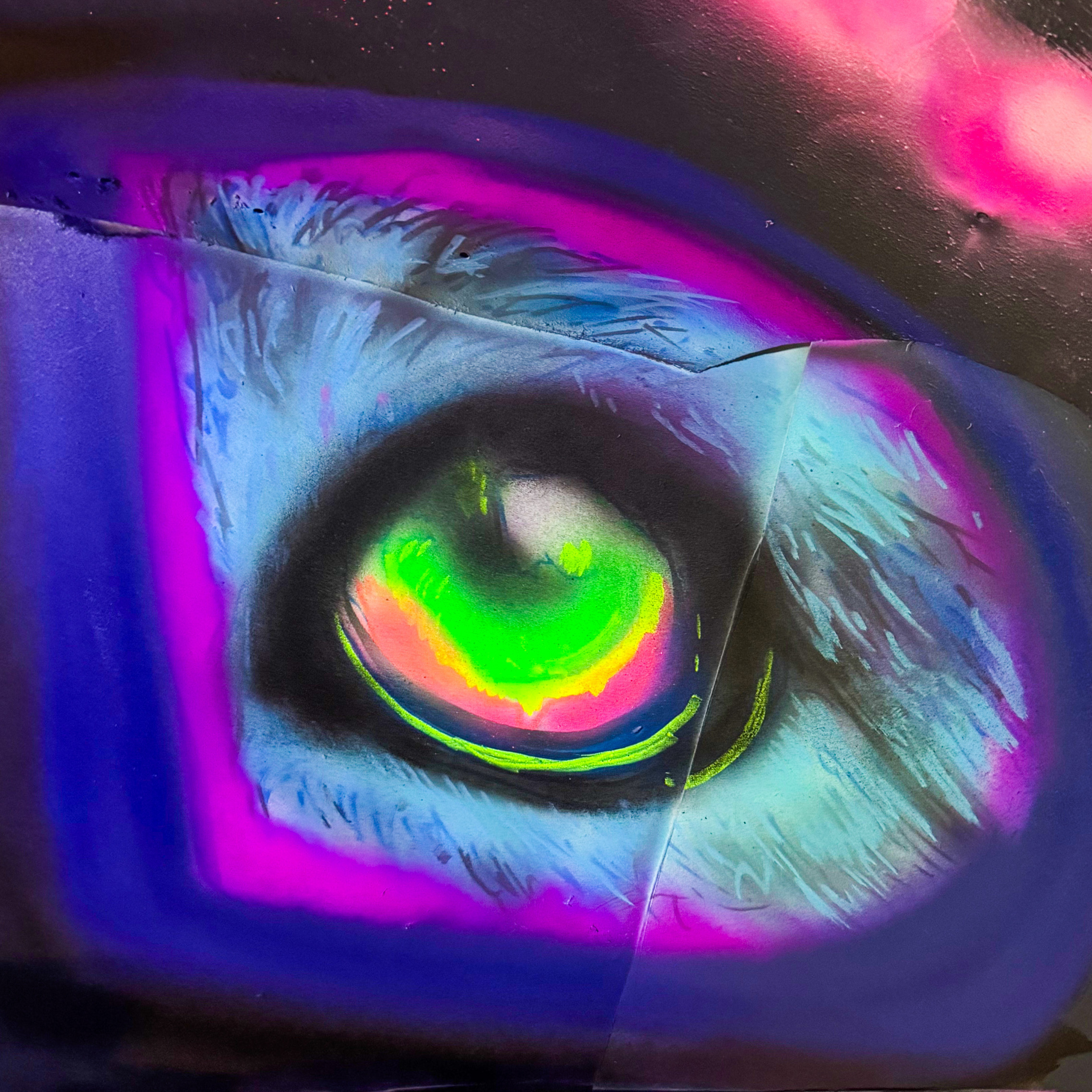 Curiosity Woke The Dog