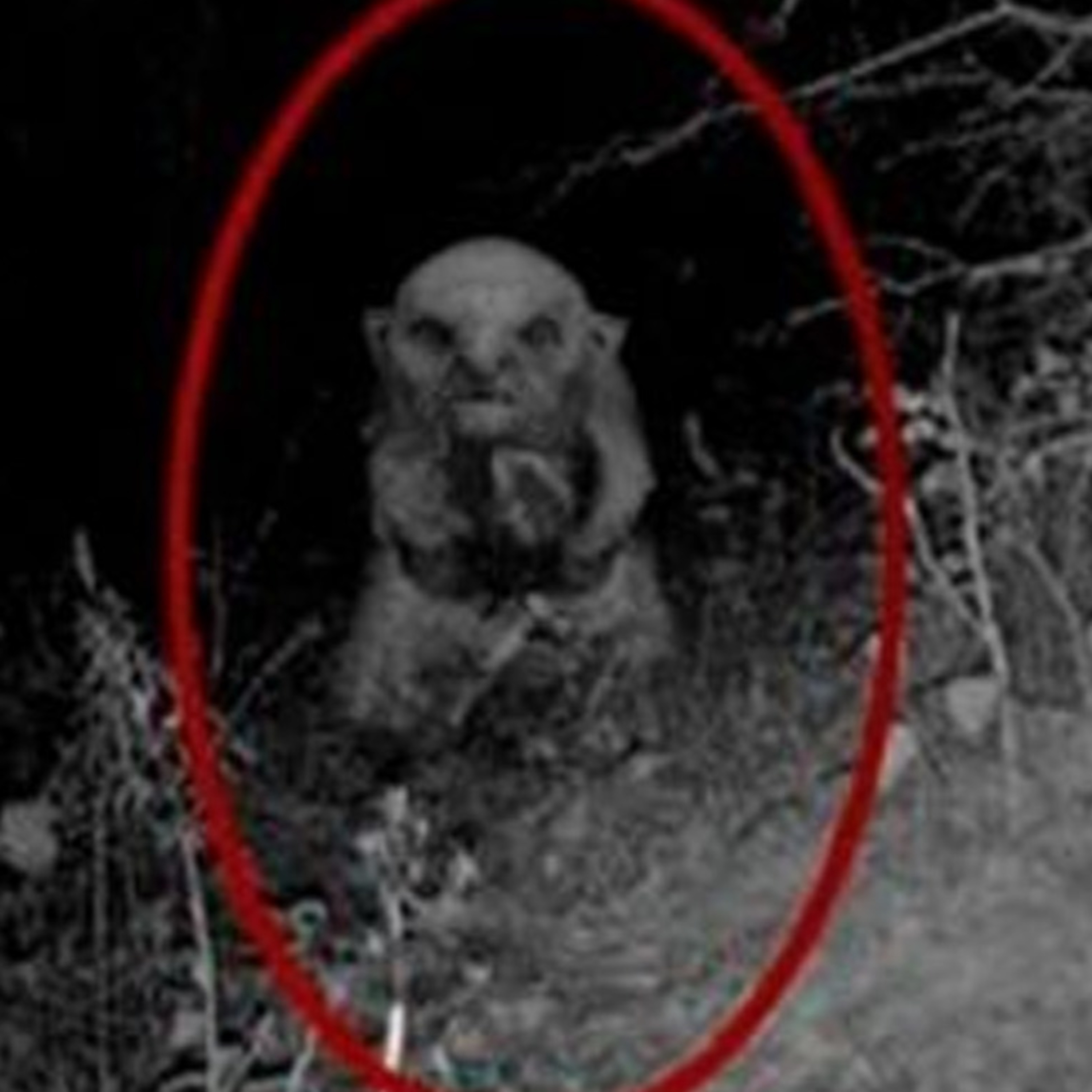 Expedientes Paranormales 2