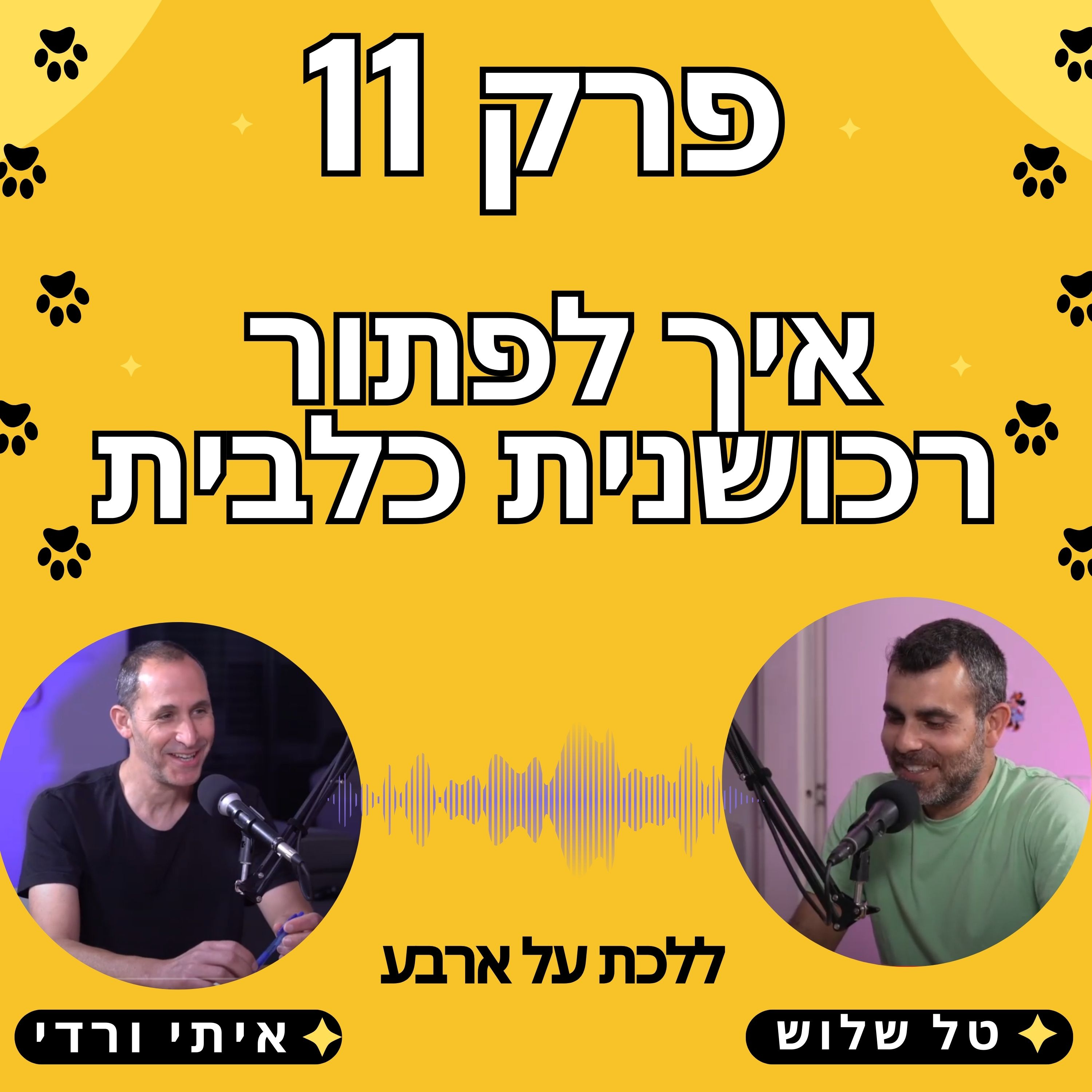 פרק 11 - איך לפתור רכושנות תוקפנית של כלבים - פודקאסט ללכת על ארבע עם טל שלוש ואיתי ורדי אילוף כלבים