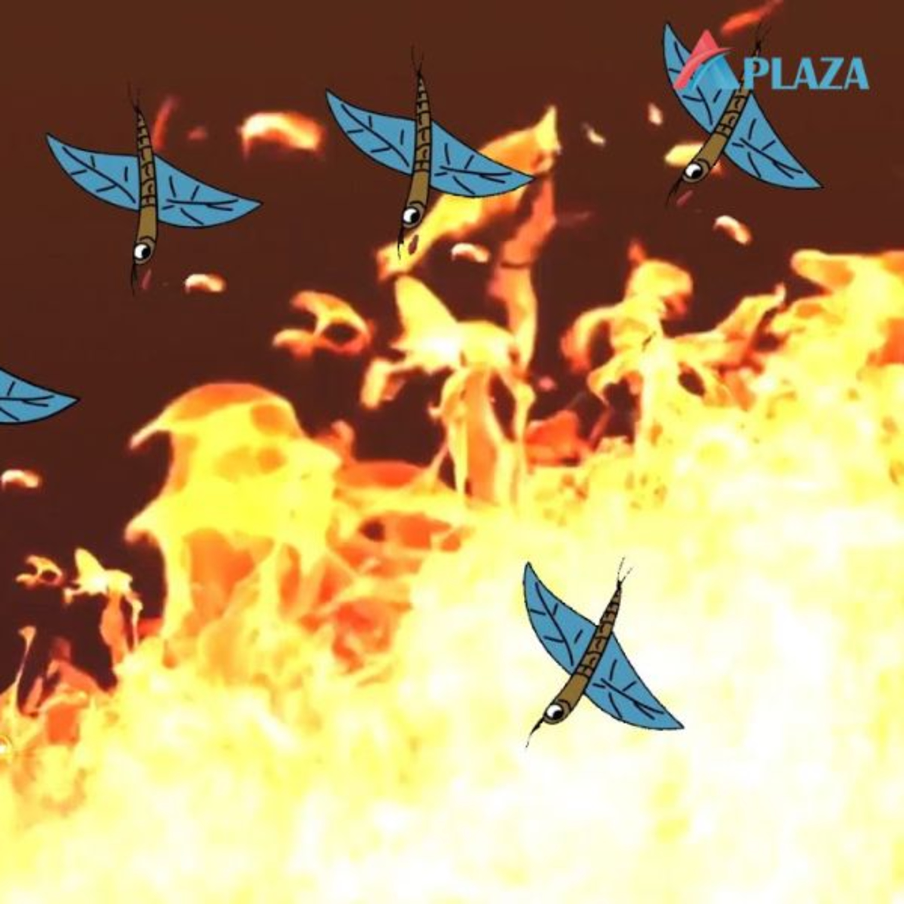 Aplaza
