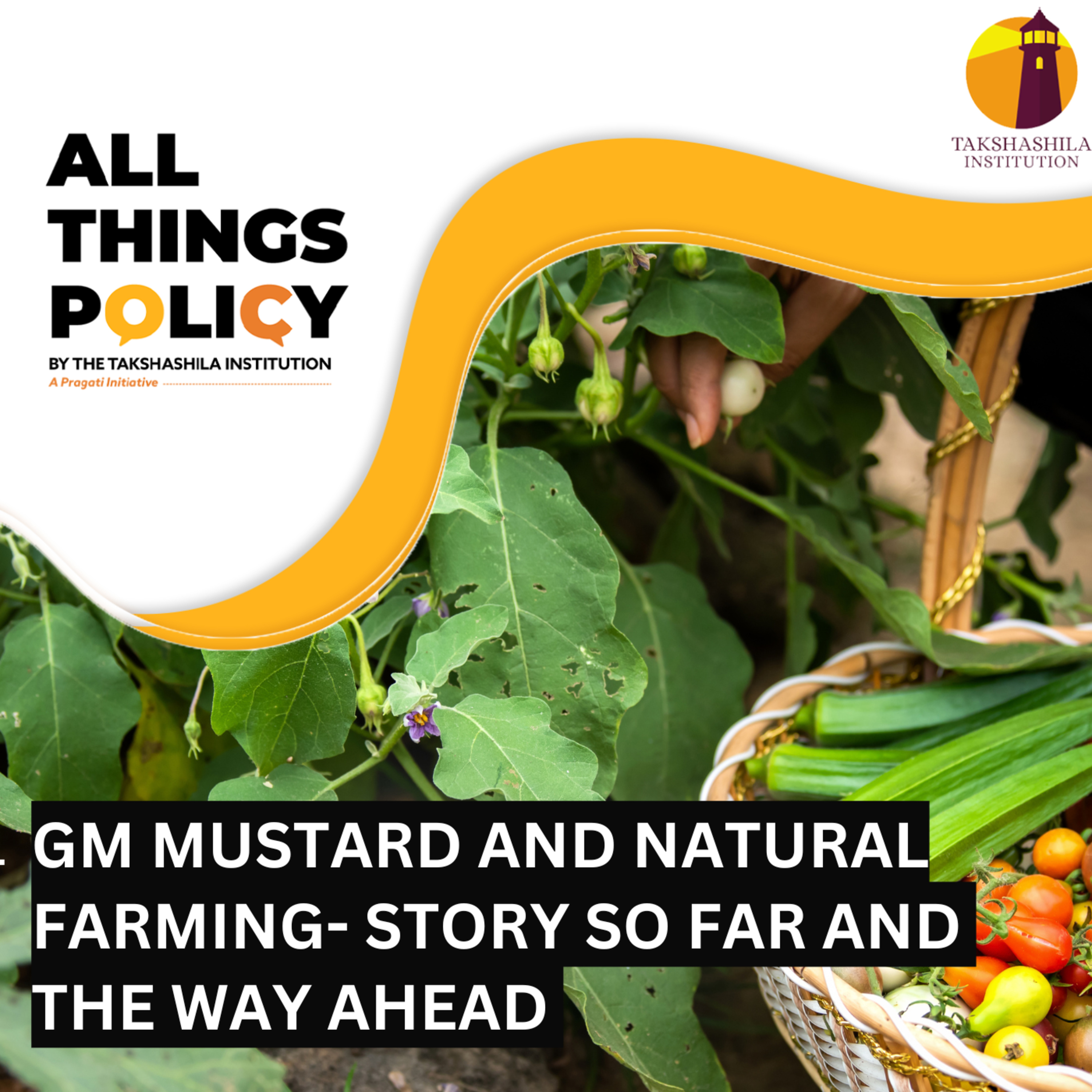 GM Mustard and Natural Farming- Story so far and the way ahead