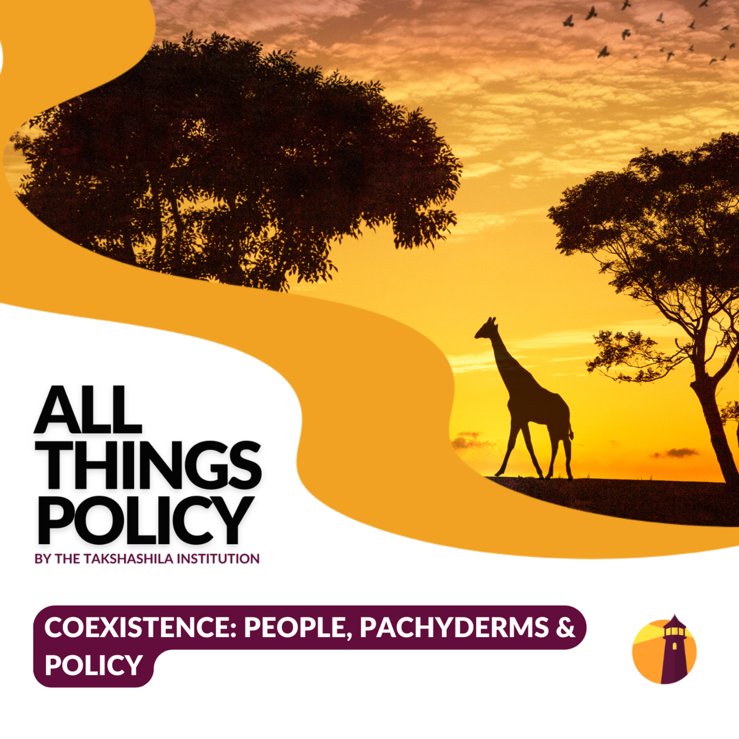Coexistence: People, Pachyderms & Policy