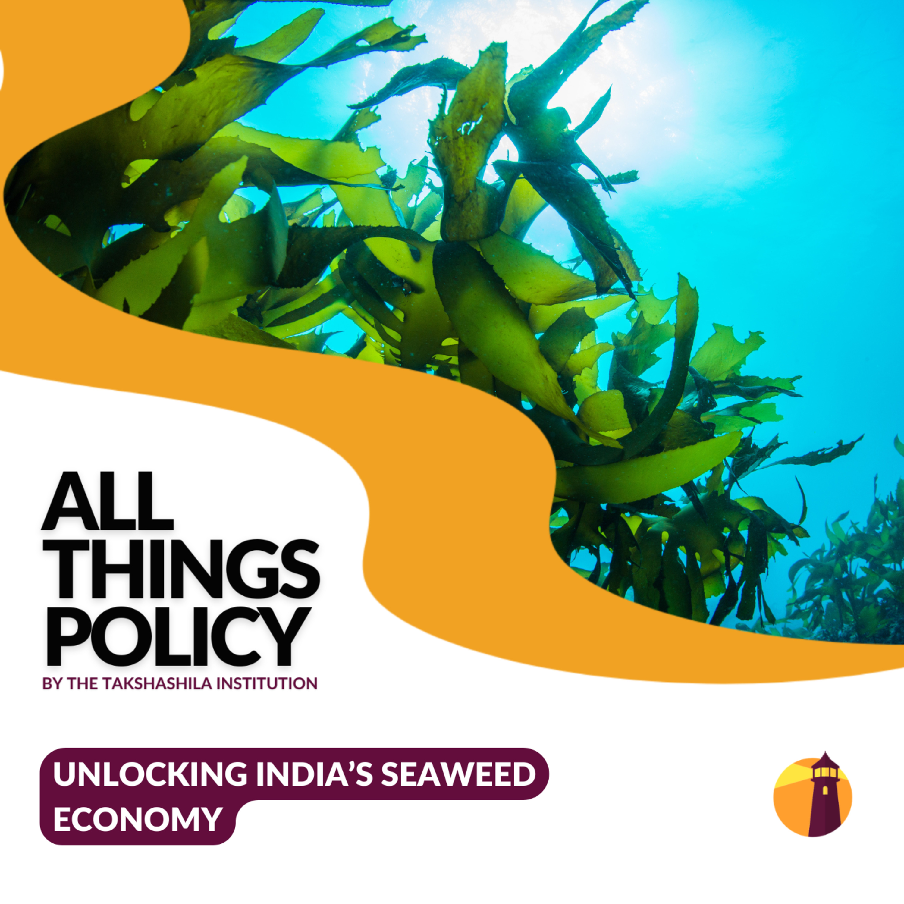 Unlocking India’s Seaweed Economy