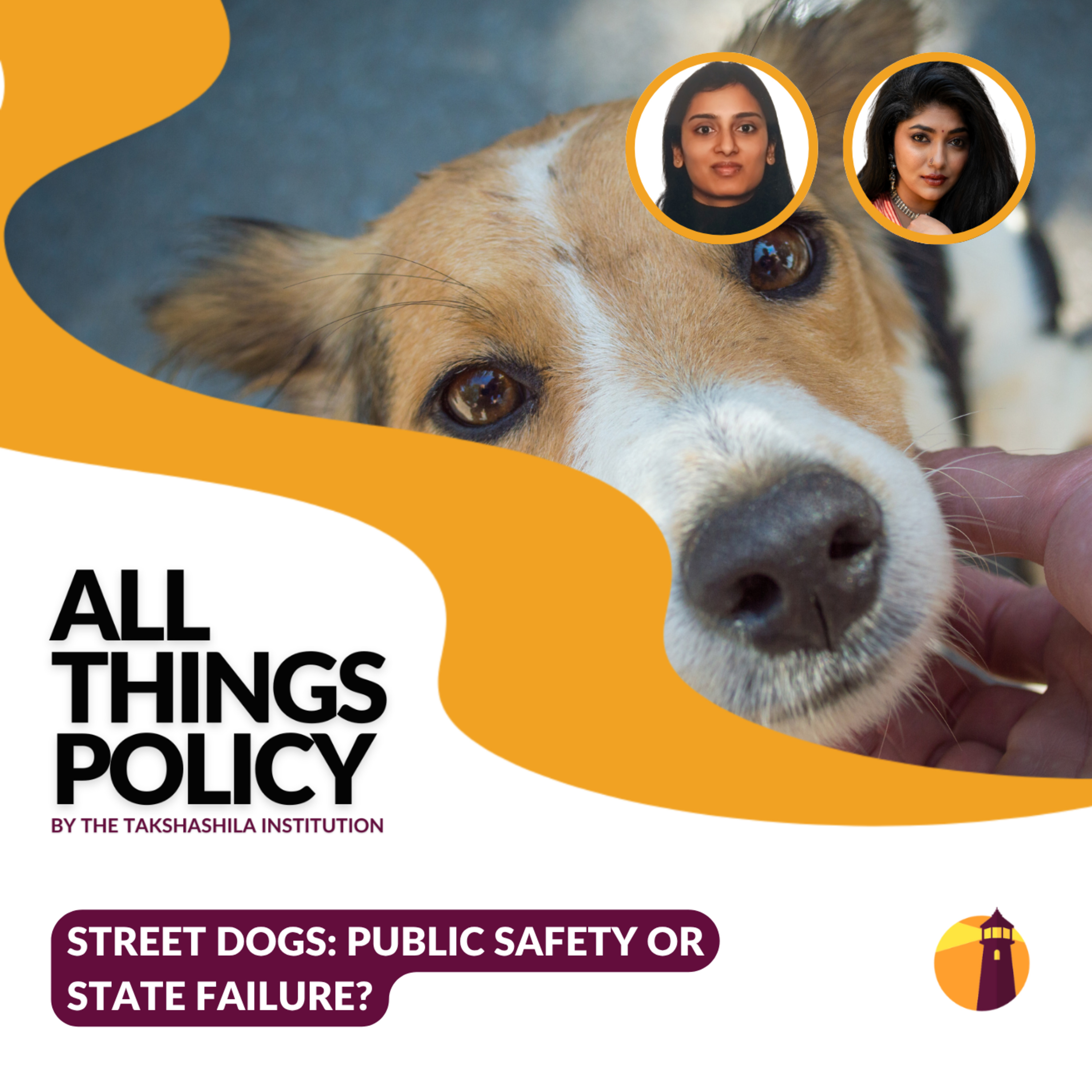 Street Dogs: Public Safety or State Failure? episode artwork