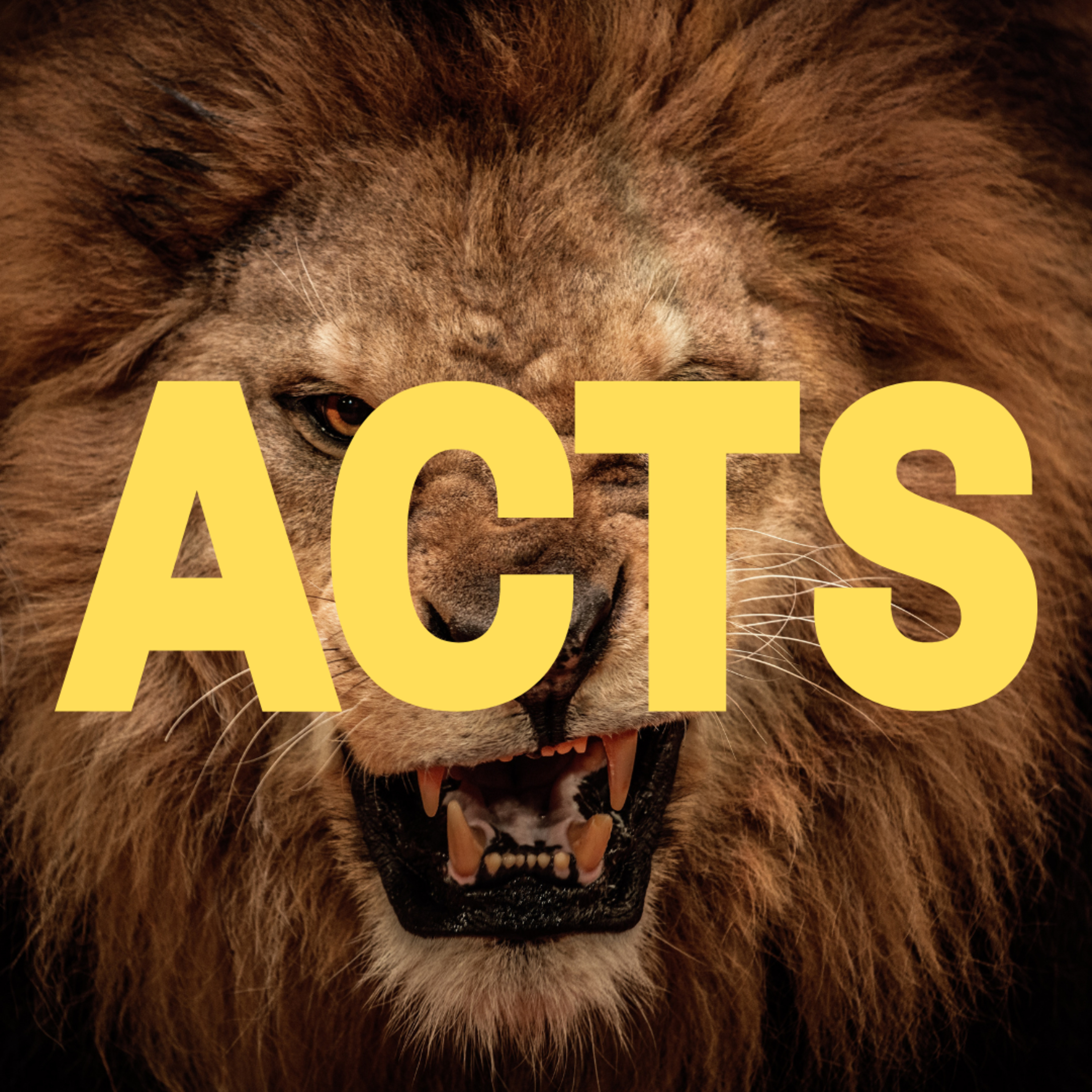 Acts Series - Week 4 with Mark Nyman