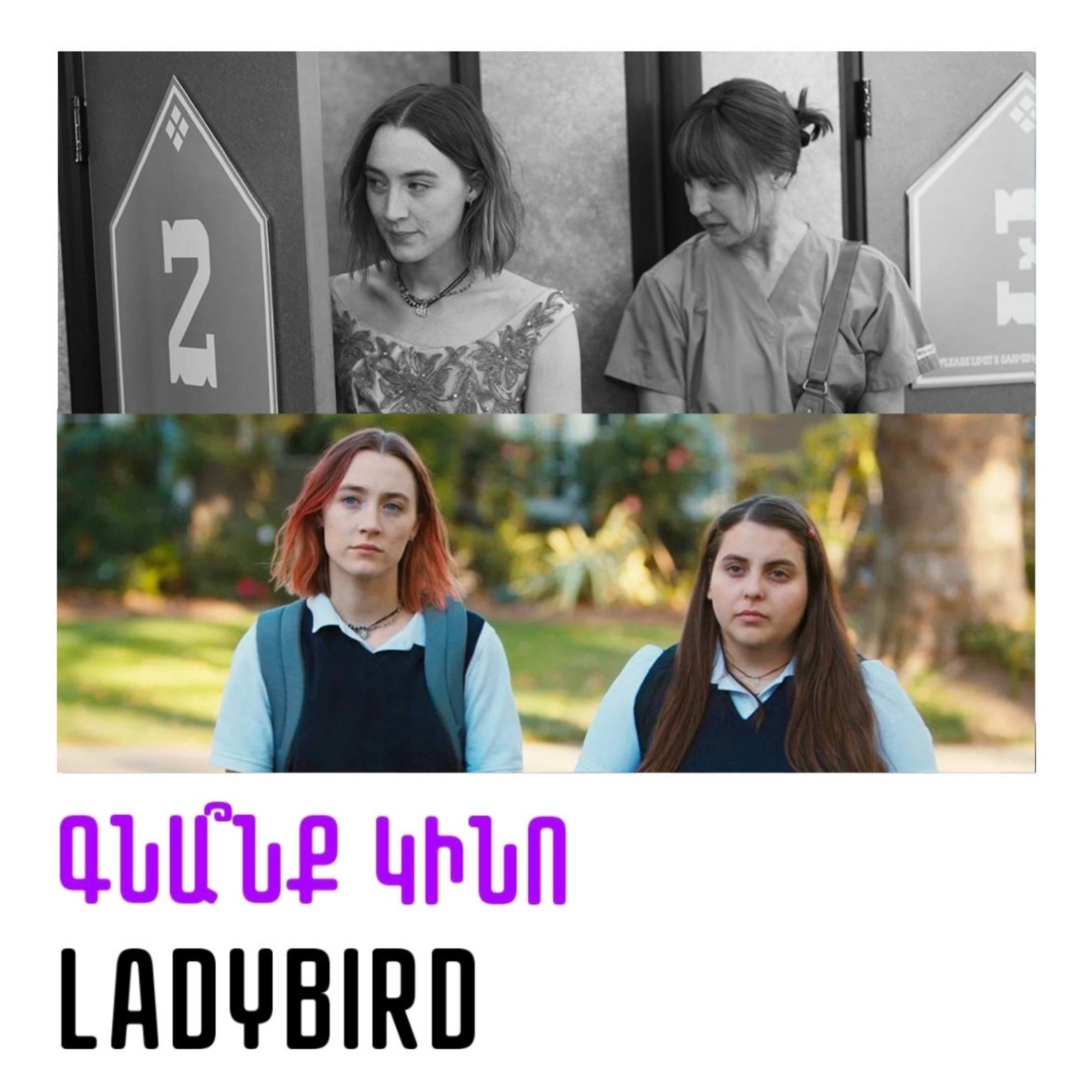 Lady Bird. Լեդի Բըրդ