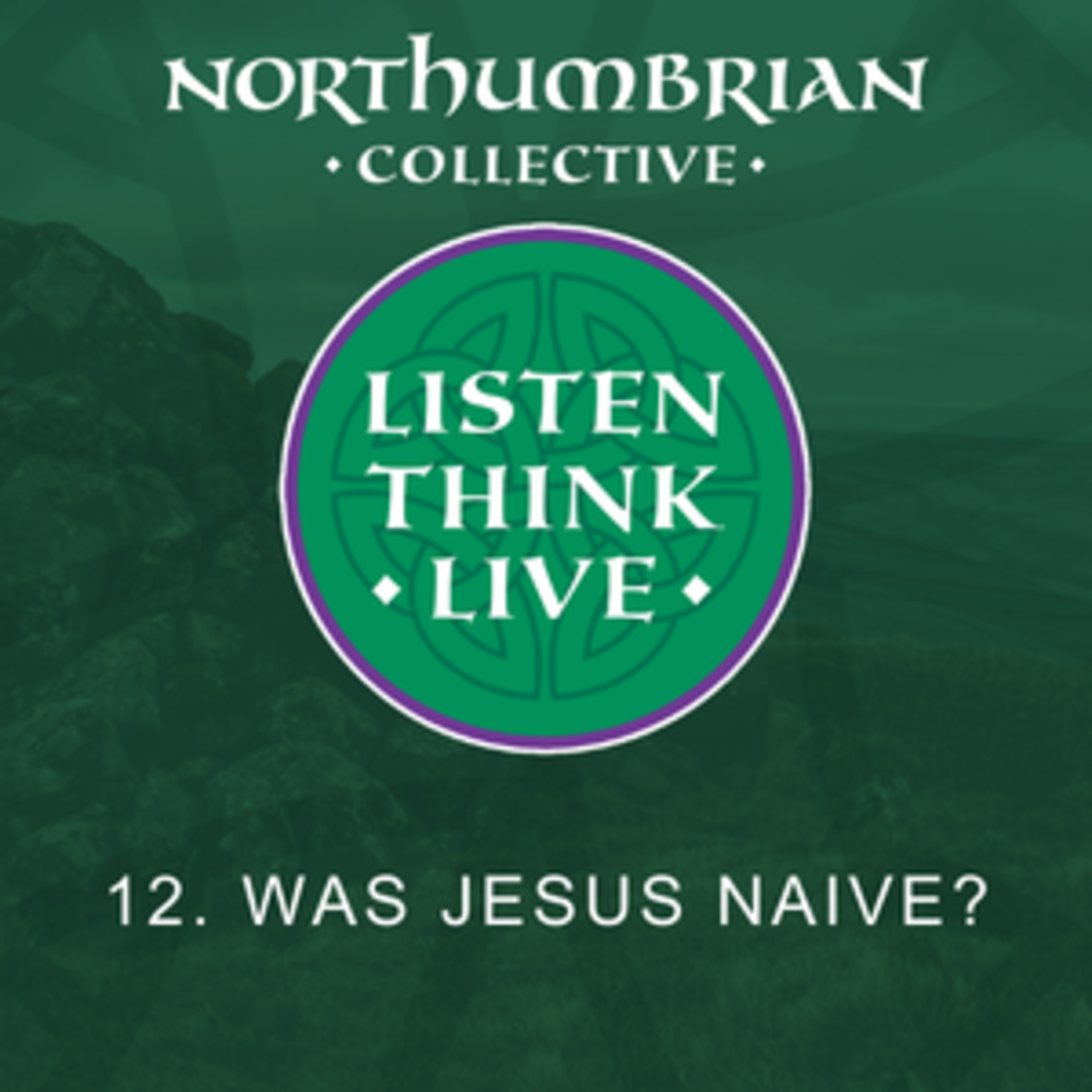 Episode 12 - Was Jesus Naive? episode artwork