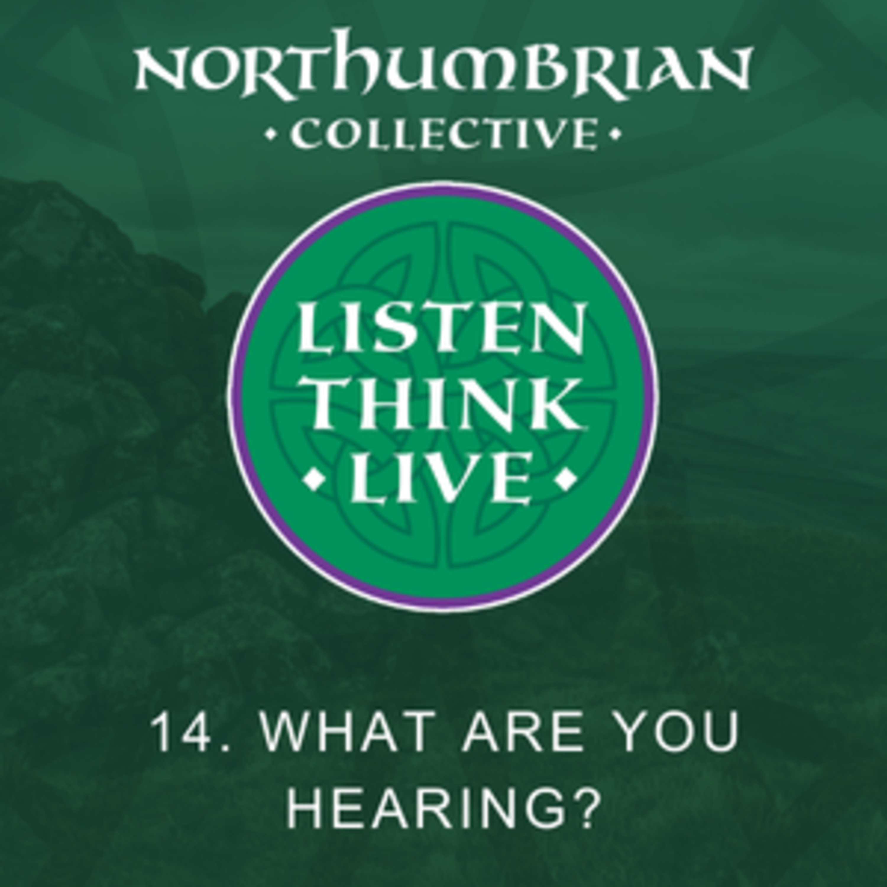 Ep 14 What are you hearing? episode artwork