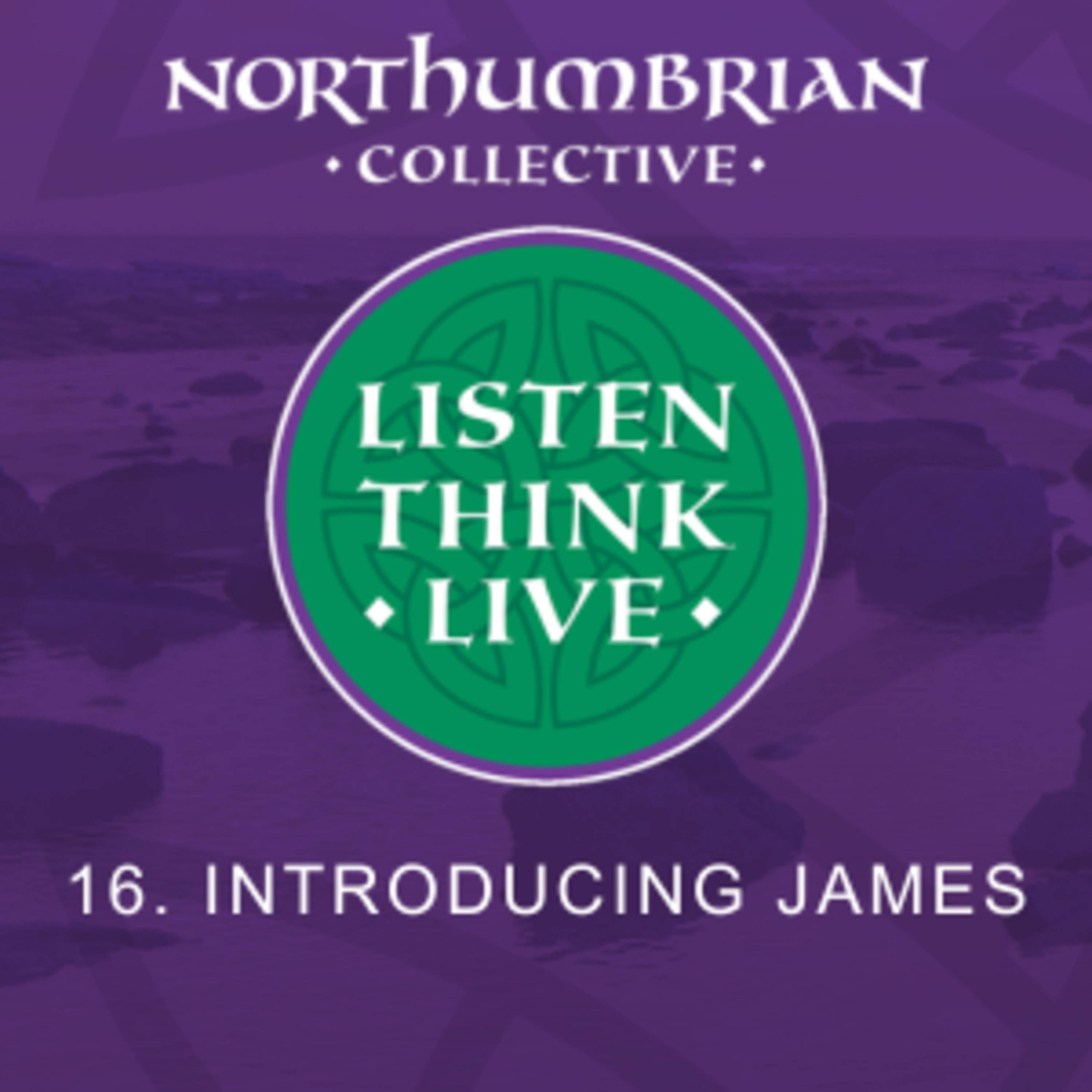 Episode 16 : Welcome James episode artwork