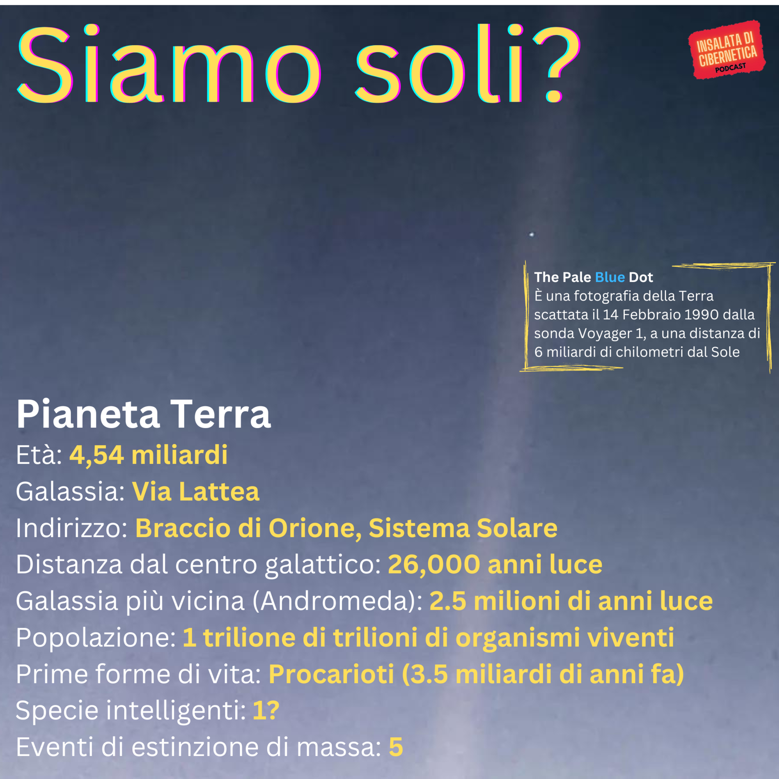 Insalata di Cibernetica