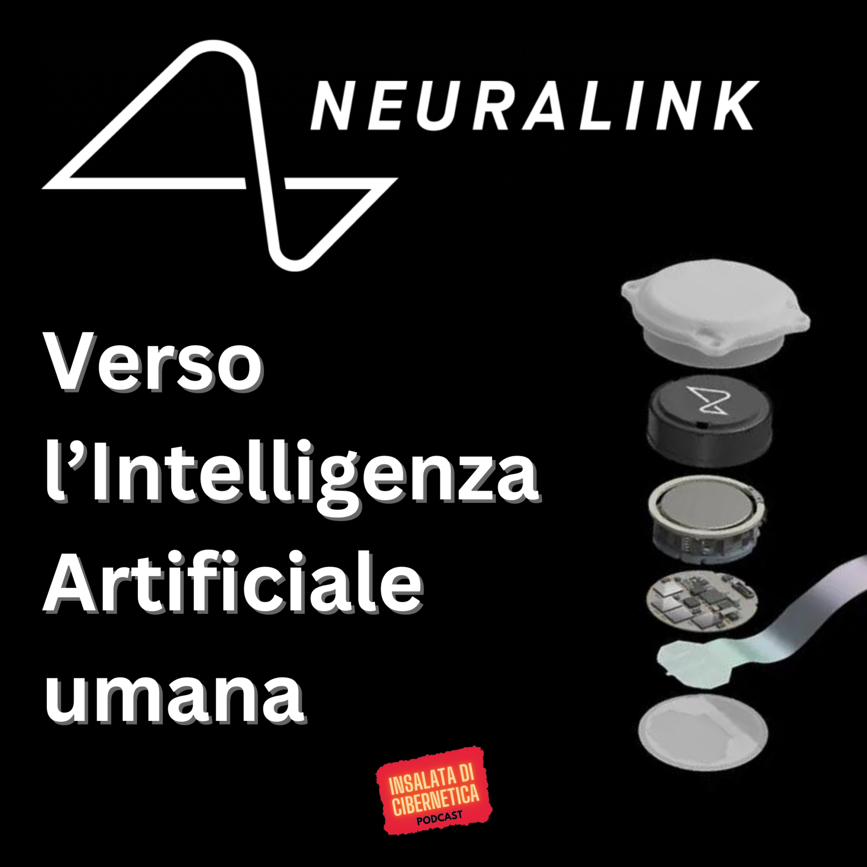 Insalata di Cibernetica