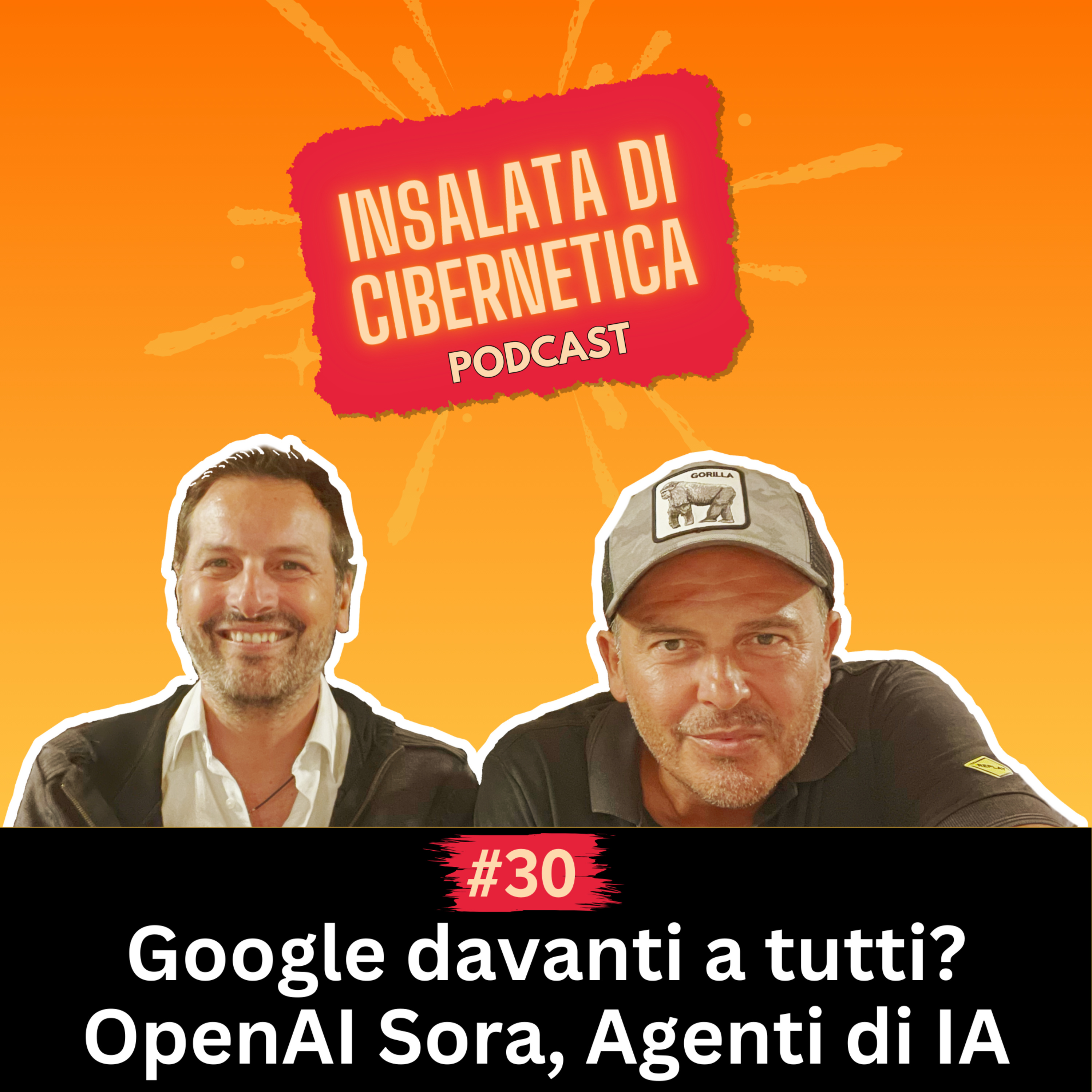 Insalata di Cibernetica