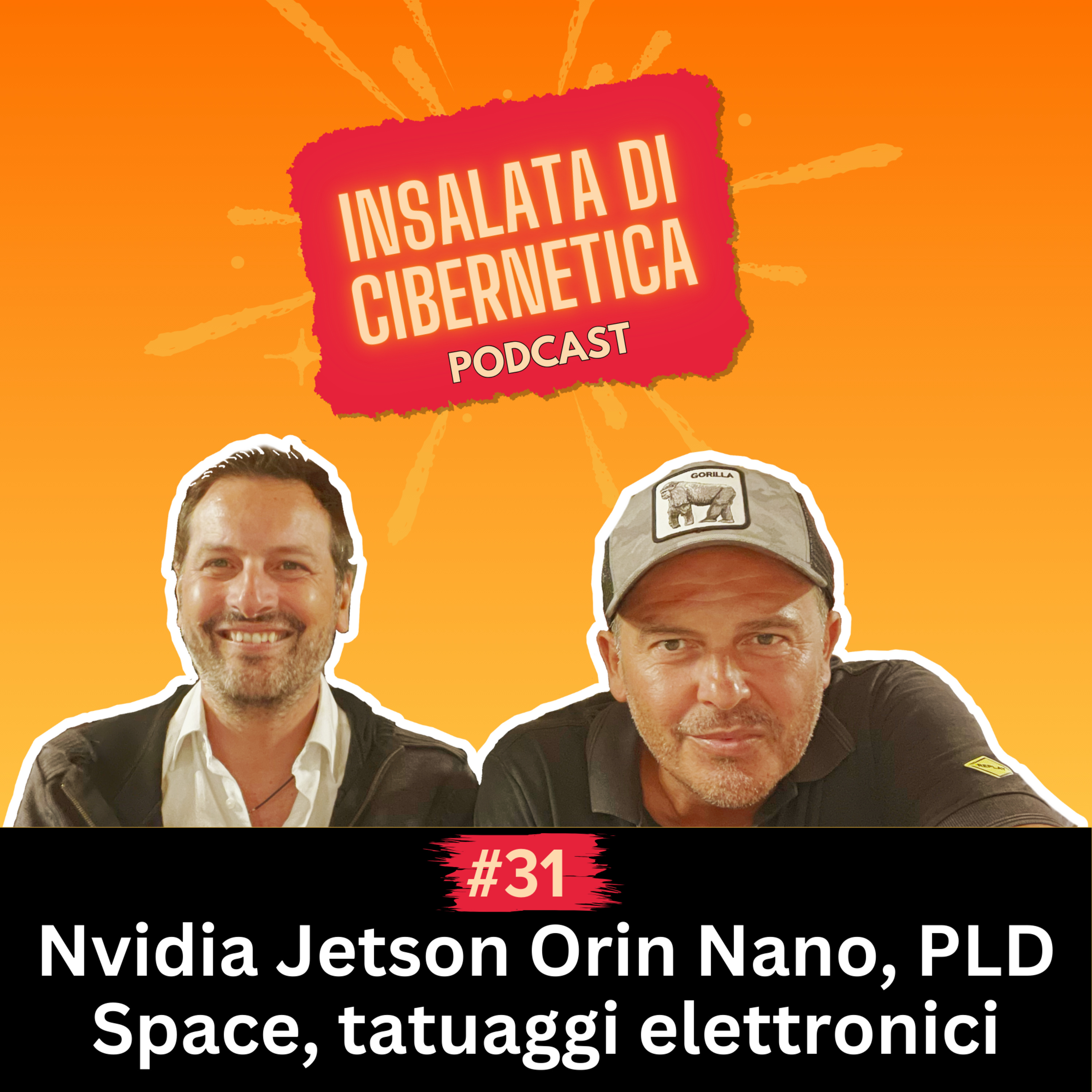 Insalata di Cibernetica