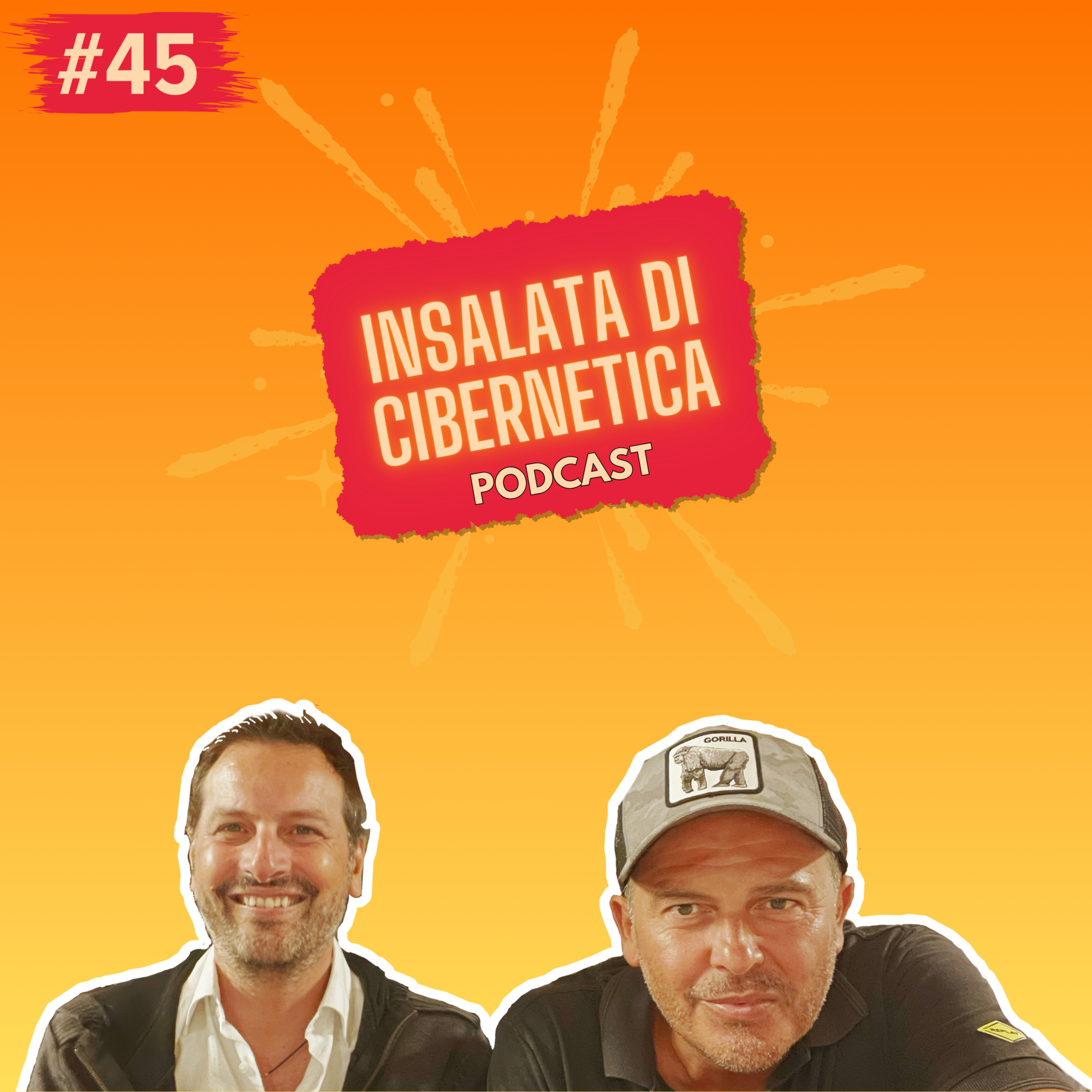 Insalata di Cibernetica