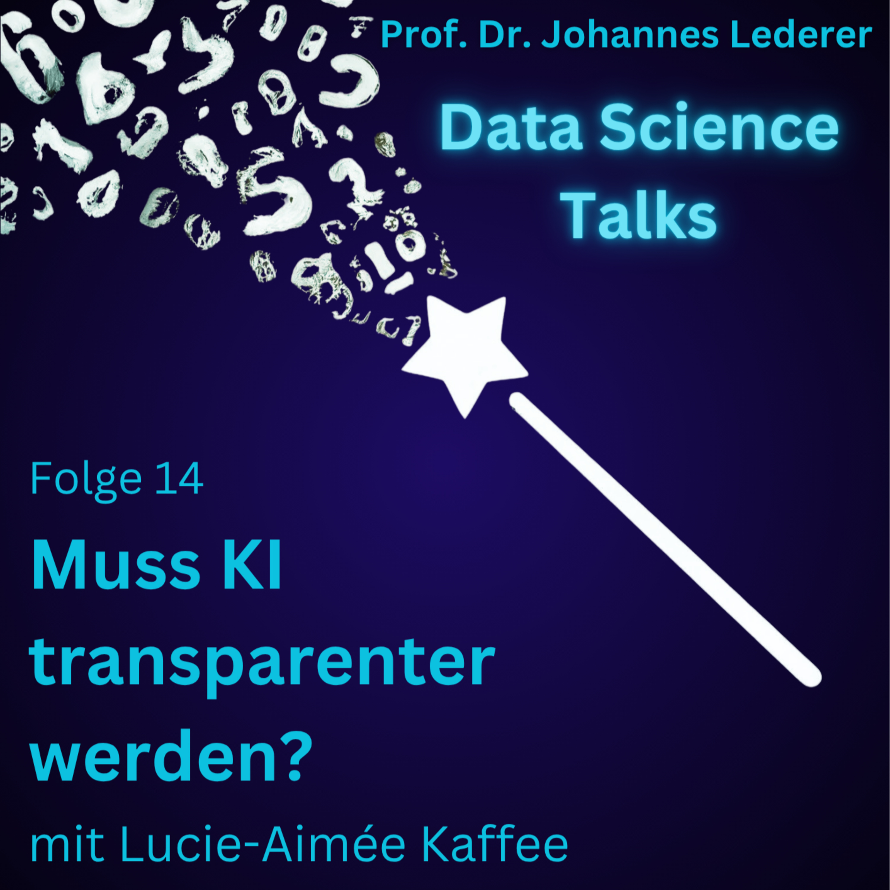 Data Science Talks