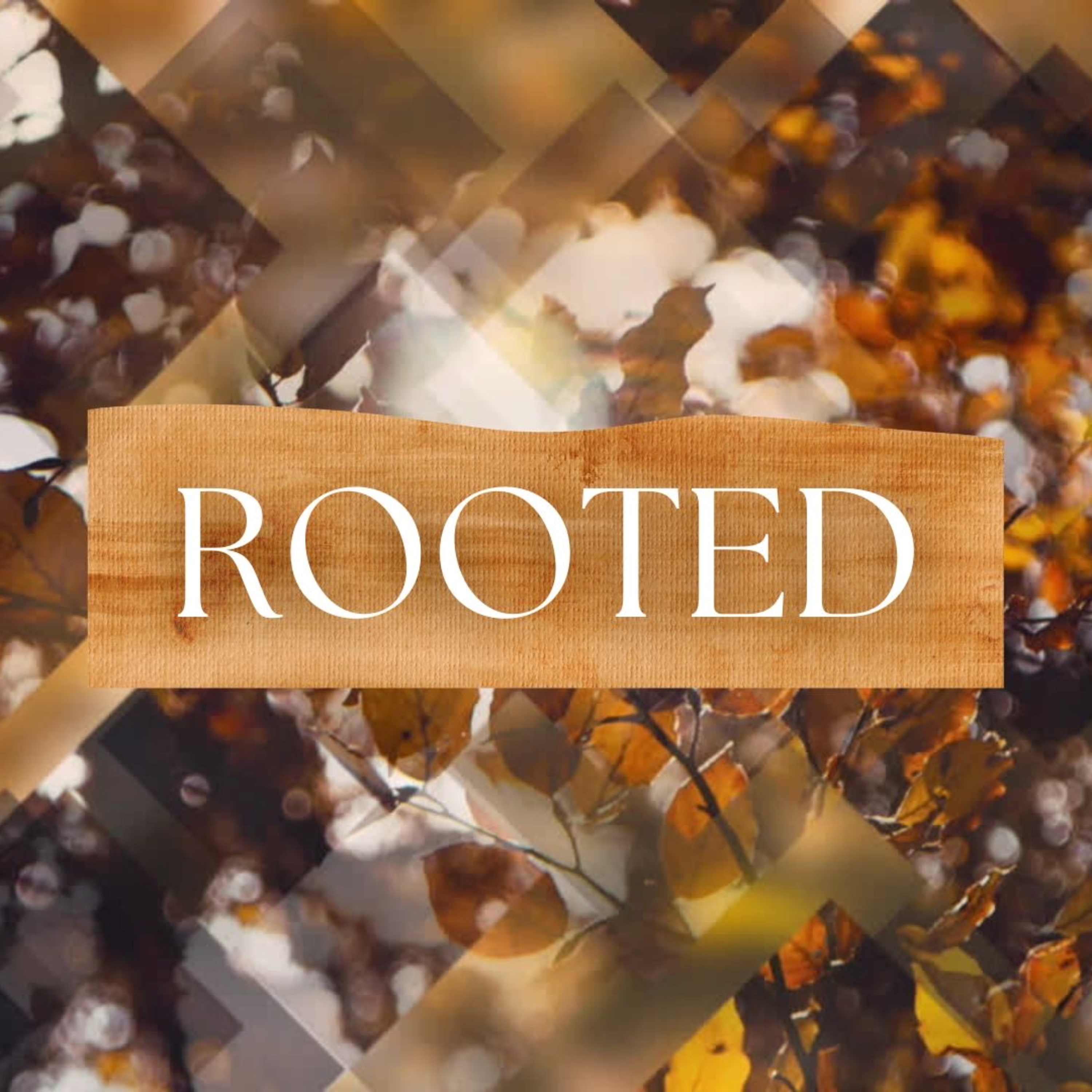 Rooted | Nov 3 2024 (Part 2) episode artwork