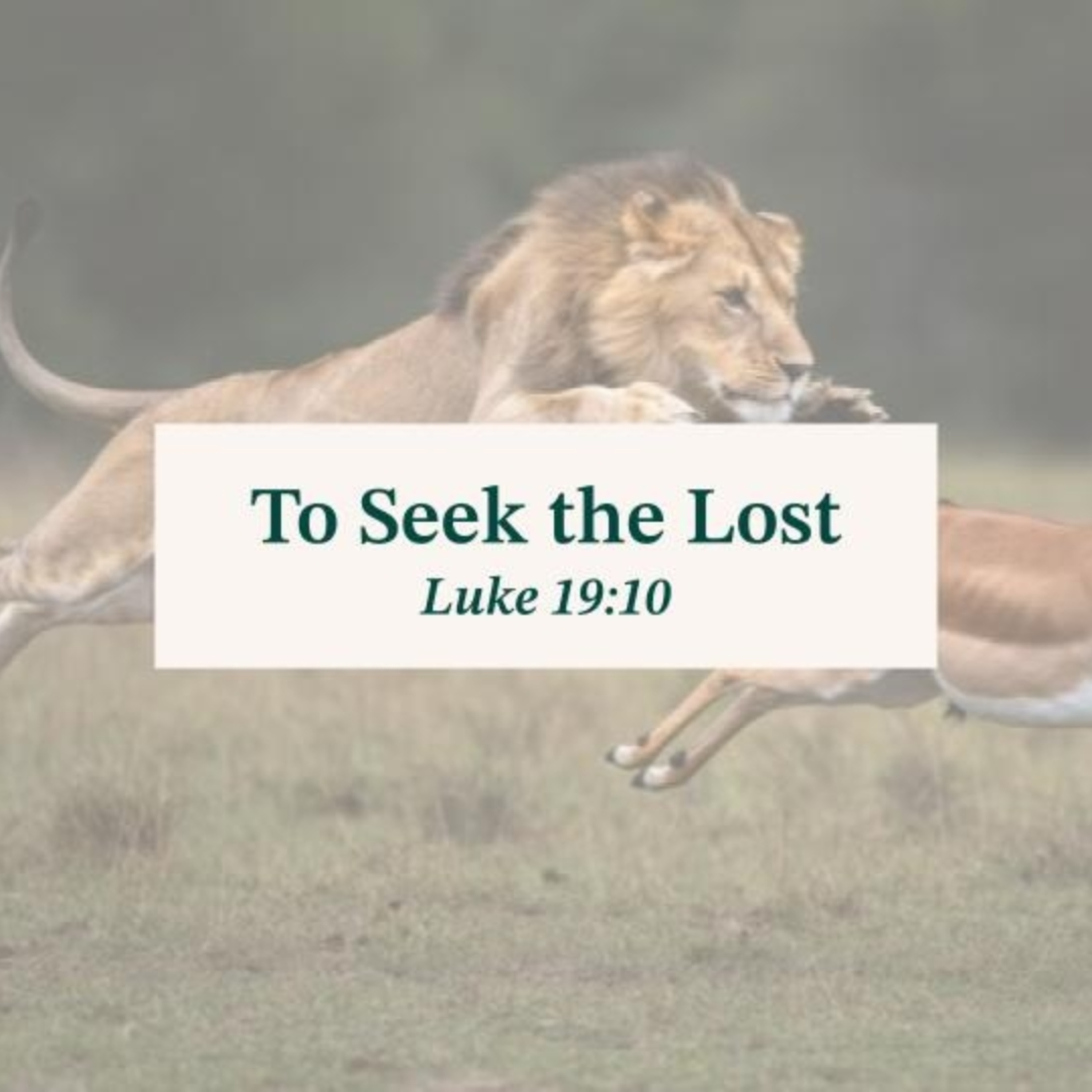 To Seek the Lost | September 28 2025 (Jacob Deboer) episode artwork