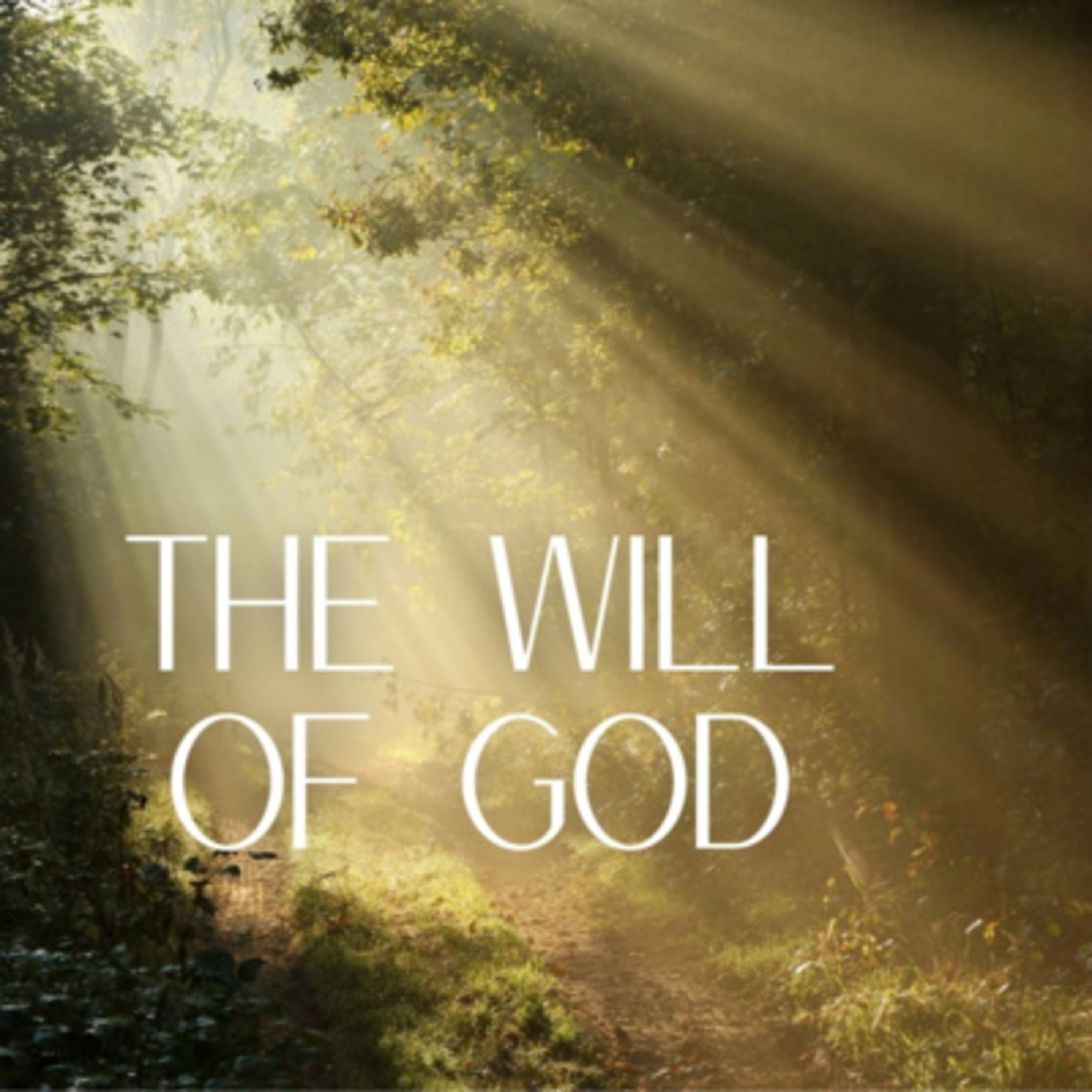 The Will of God | October 19 2025 (Part 5) episode artwork
