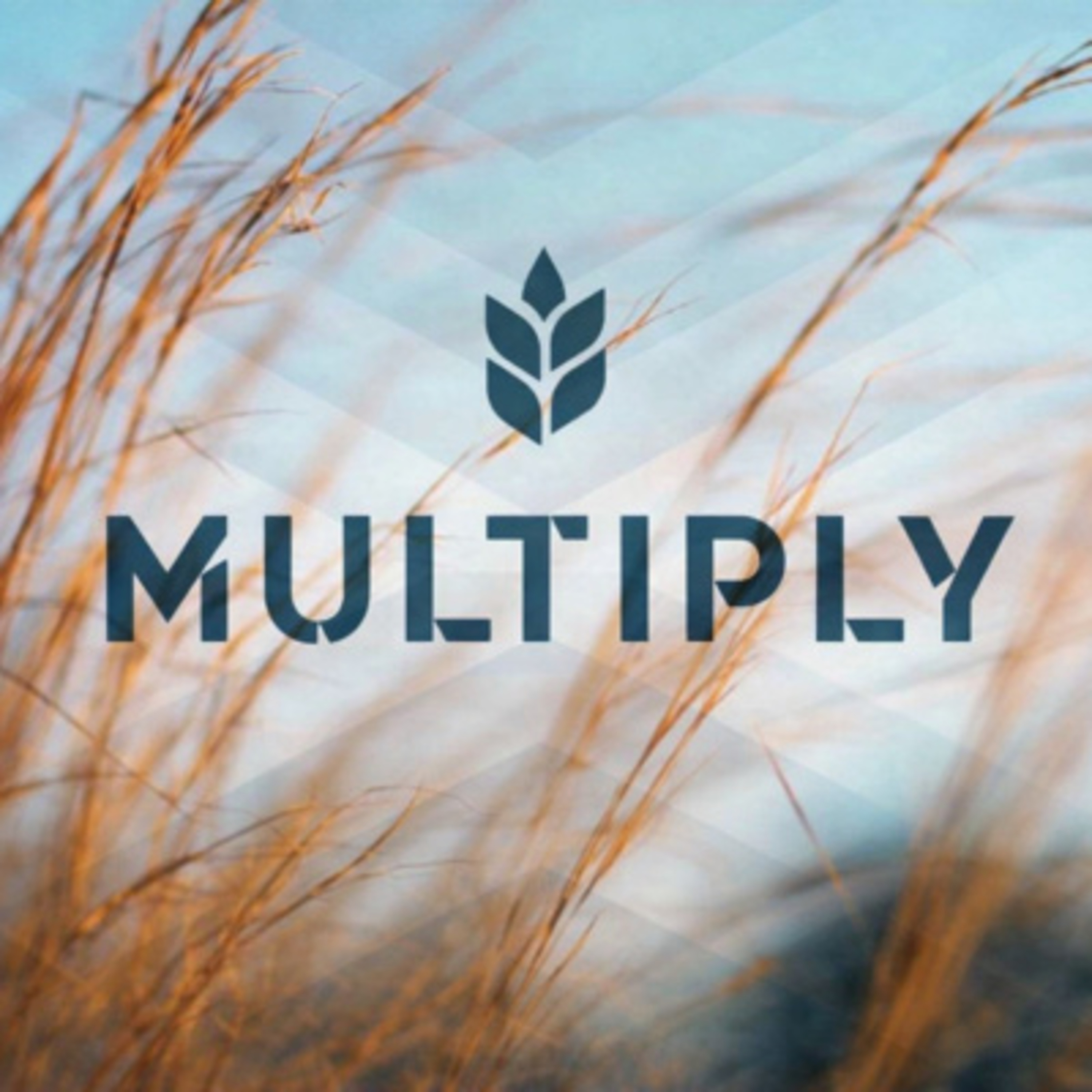 Multiply | April 26 2026 (Part 3) (Mark Potma) episode artwork