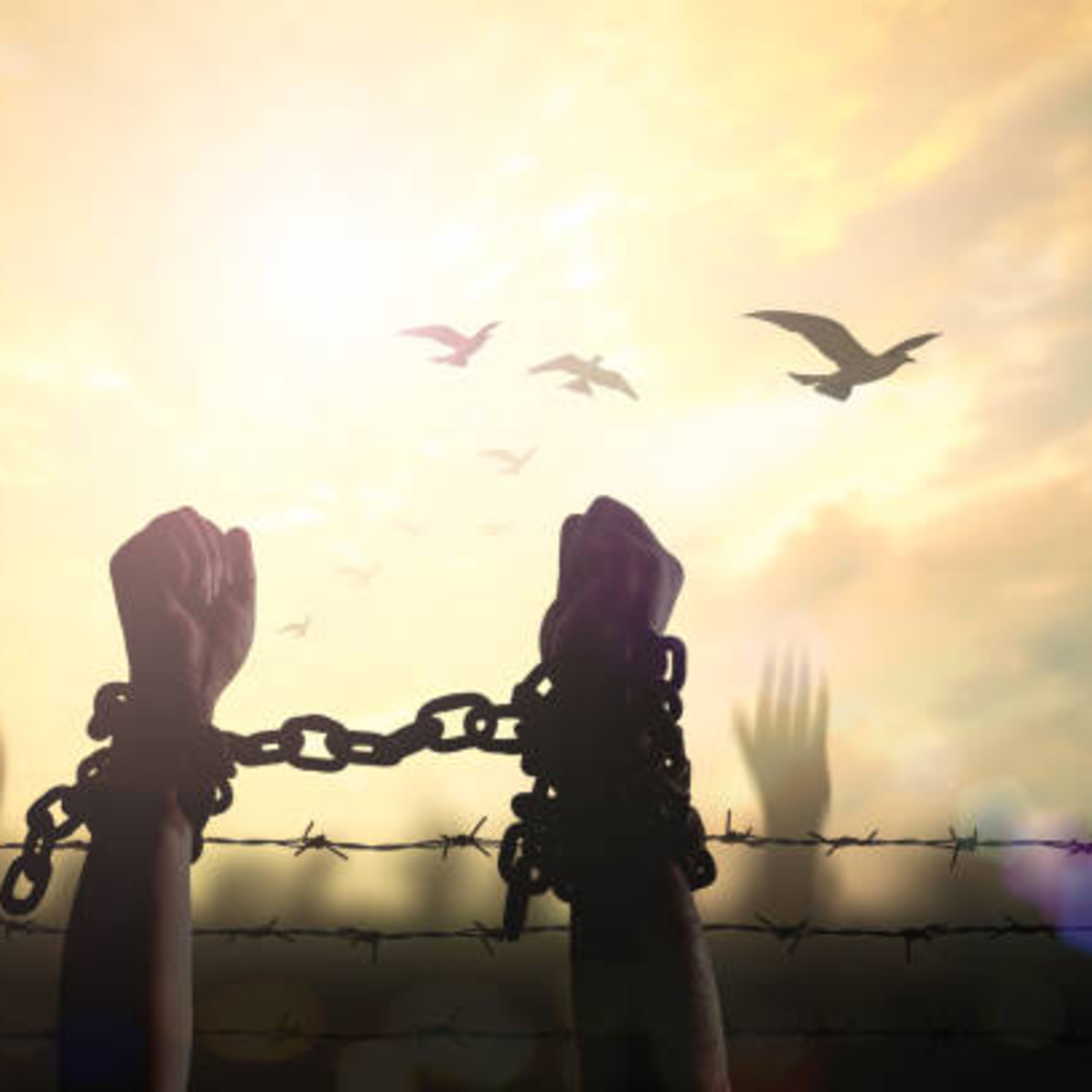 Palabras que liberan