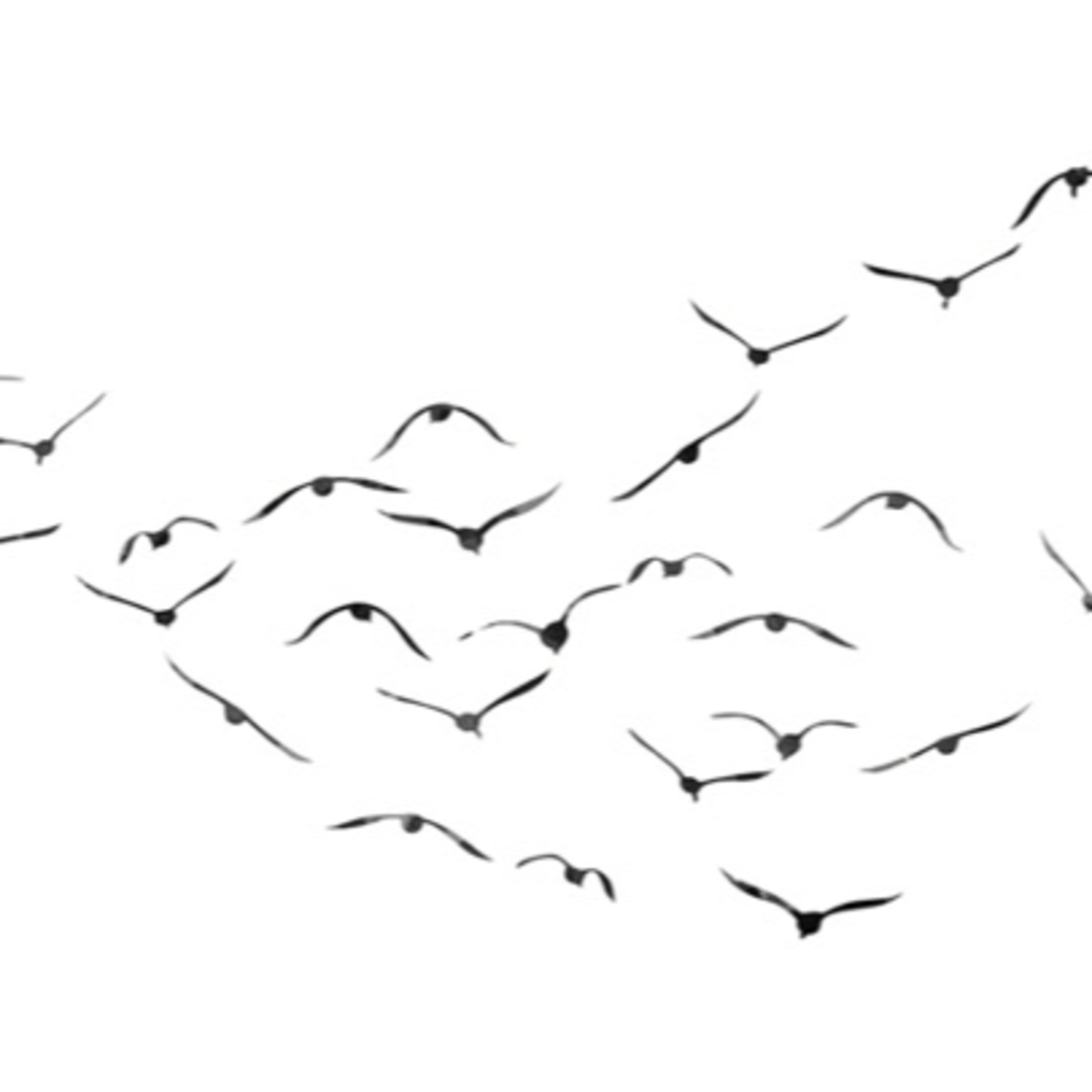 نشست_۲۹_شاهنامه_دماوند_بیژن_و_تاج_تژاو episode artwork
