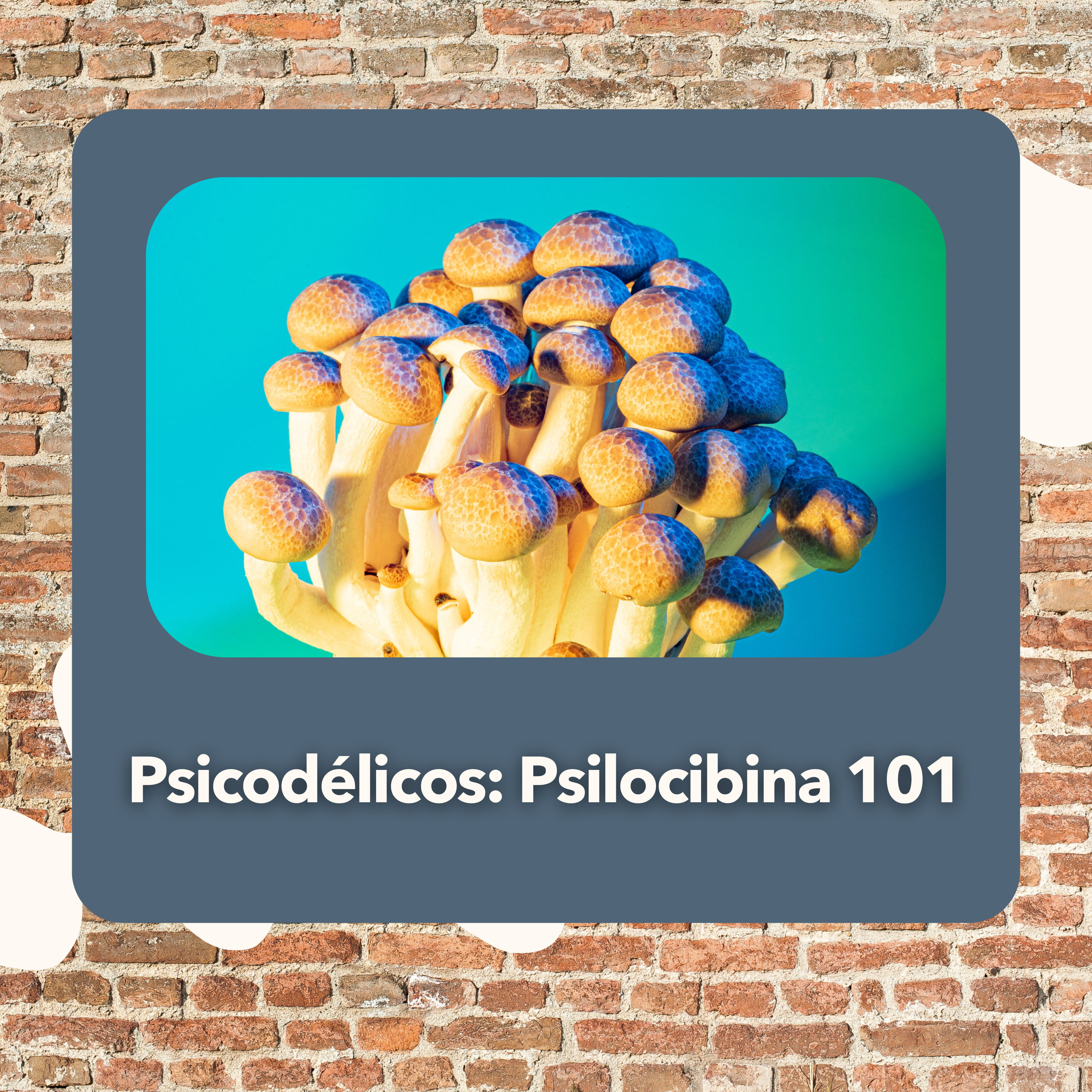PartiendoxCasa