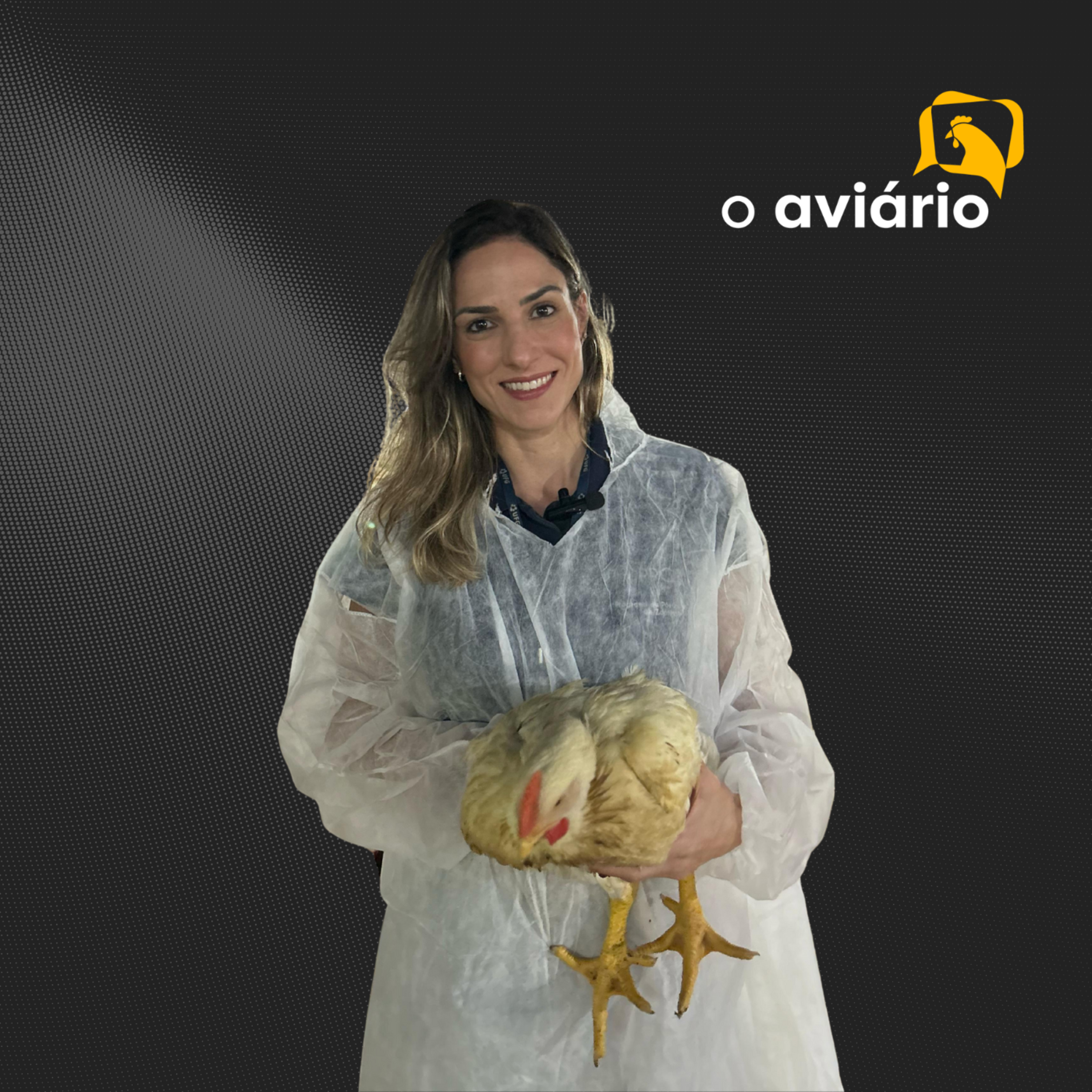 NUTRIÇÃO IN OVO E PINTINHOS DE QUALIDADE - Dra. Heloísa Helena de Carvalho Mello - Ep. 142